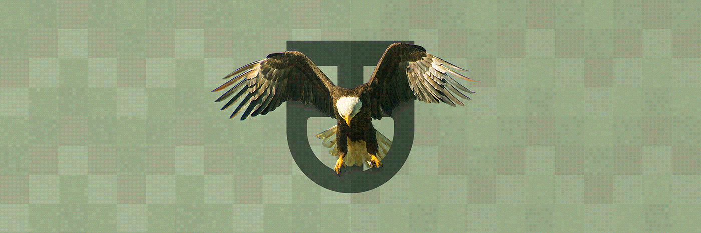army eagle Education heraldry Military minimal psicologia school shield triumph