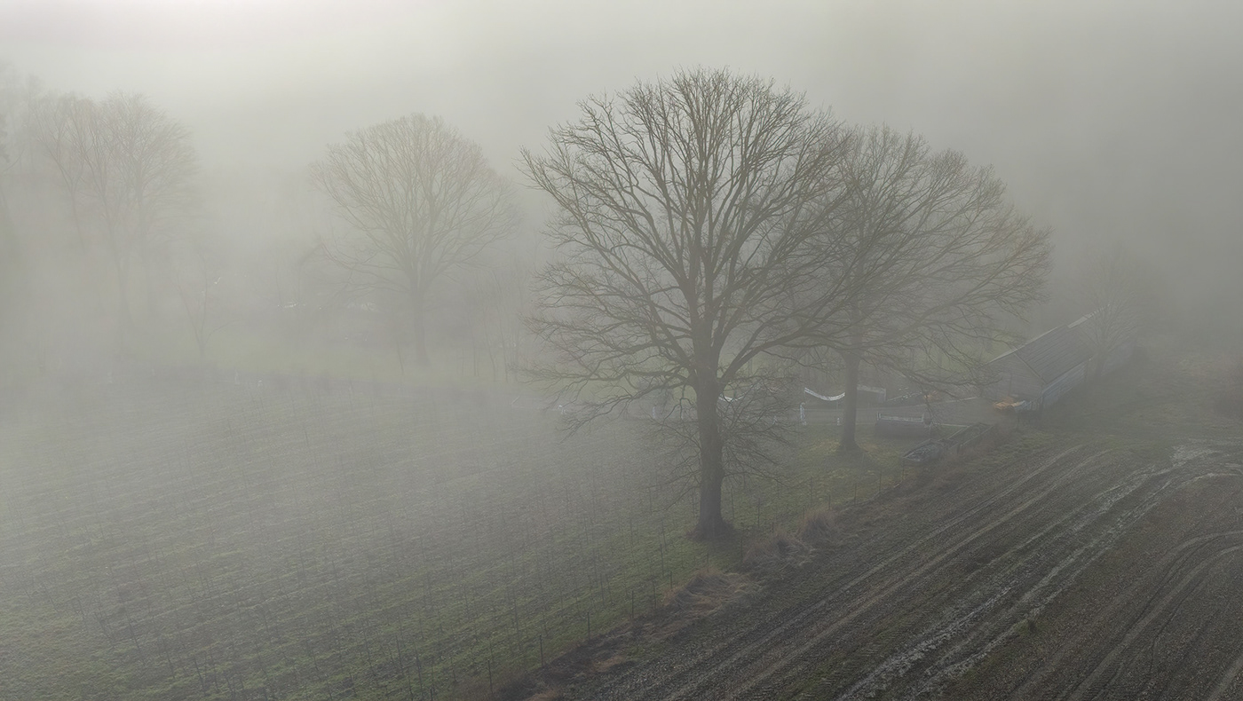 mgła fog polska poland Landscape view Krajobraz