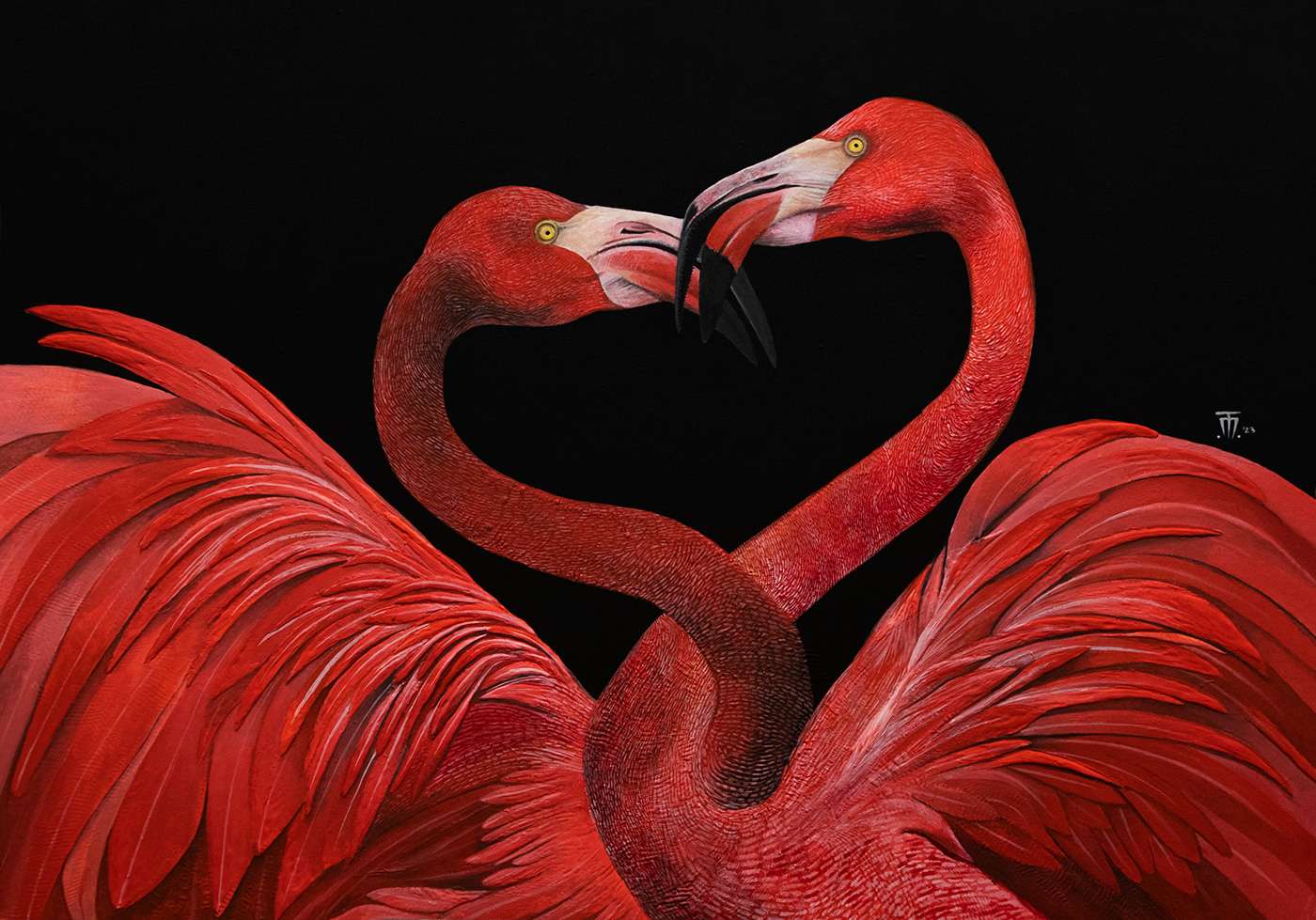 acrylic animal animals Beautiful beauty bird flamingo Love Nature