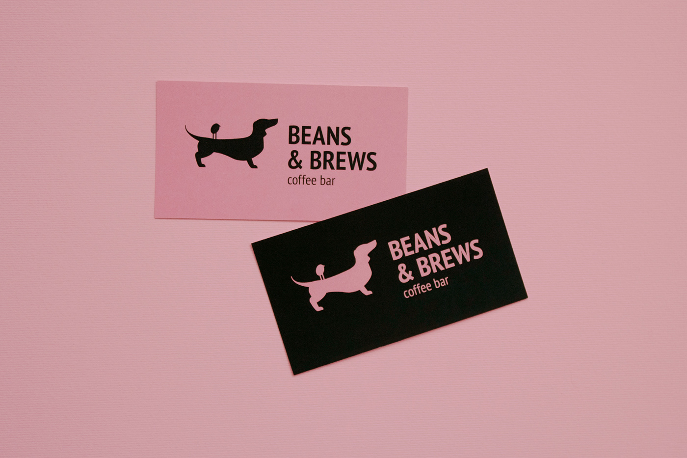 beans brews Coffee coffee cup identity pets logo branding  Business Cards pink