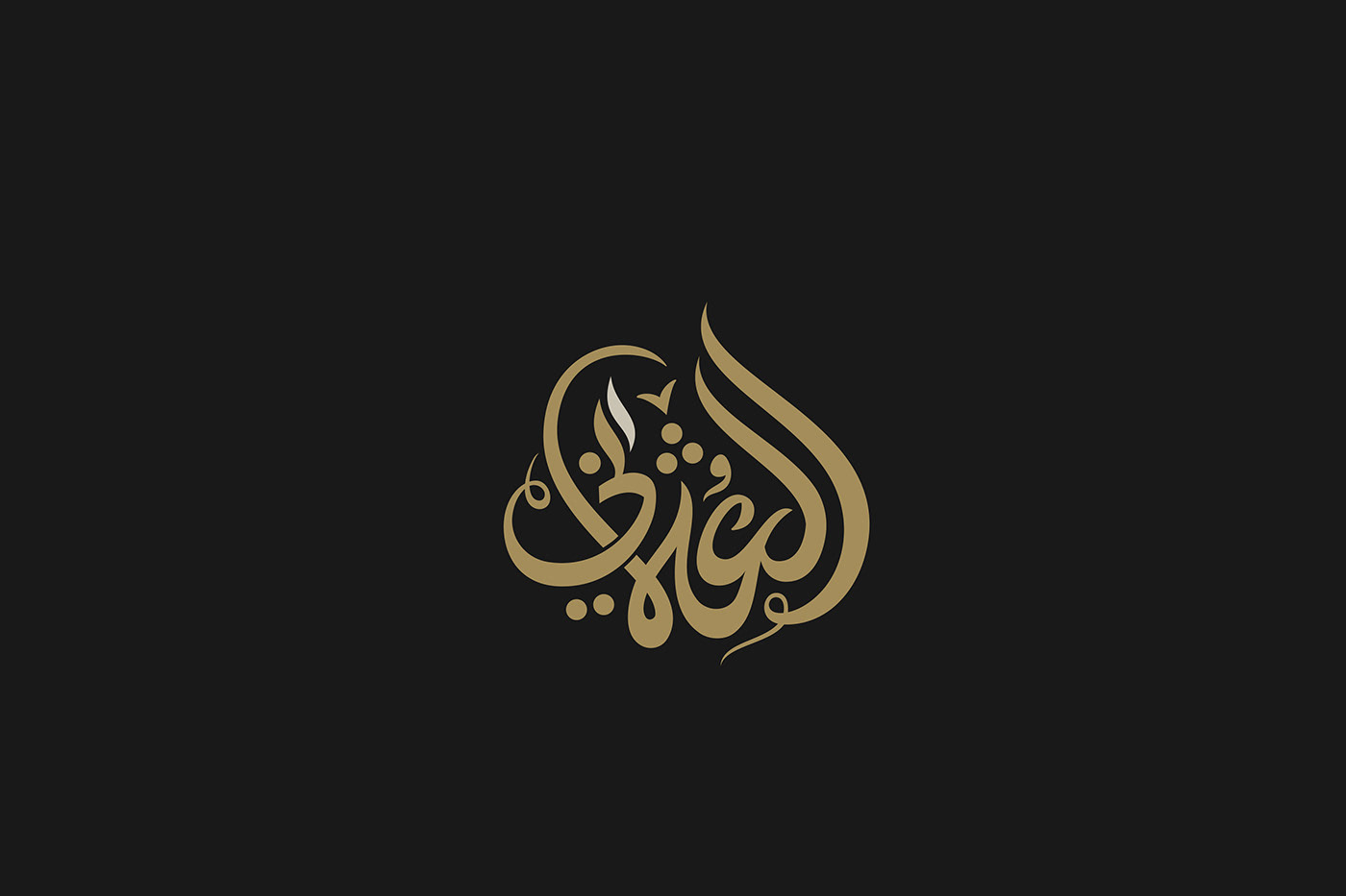 arabic art branding  Calligraphy   design lettering logo logofolio type typography  