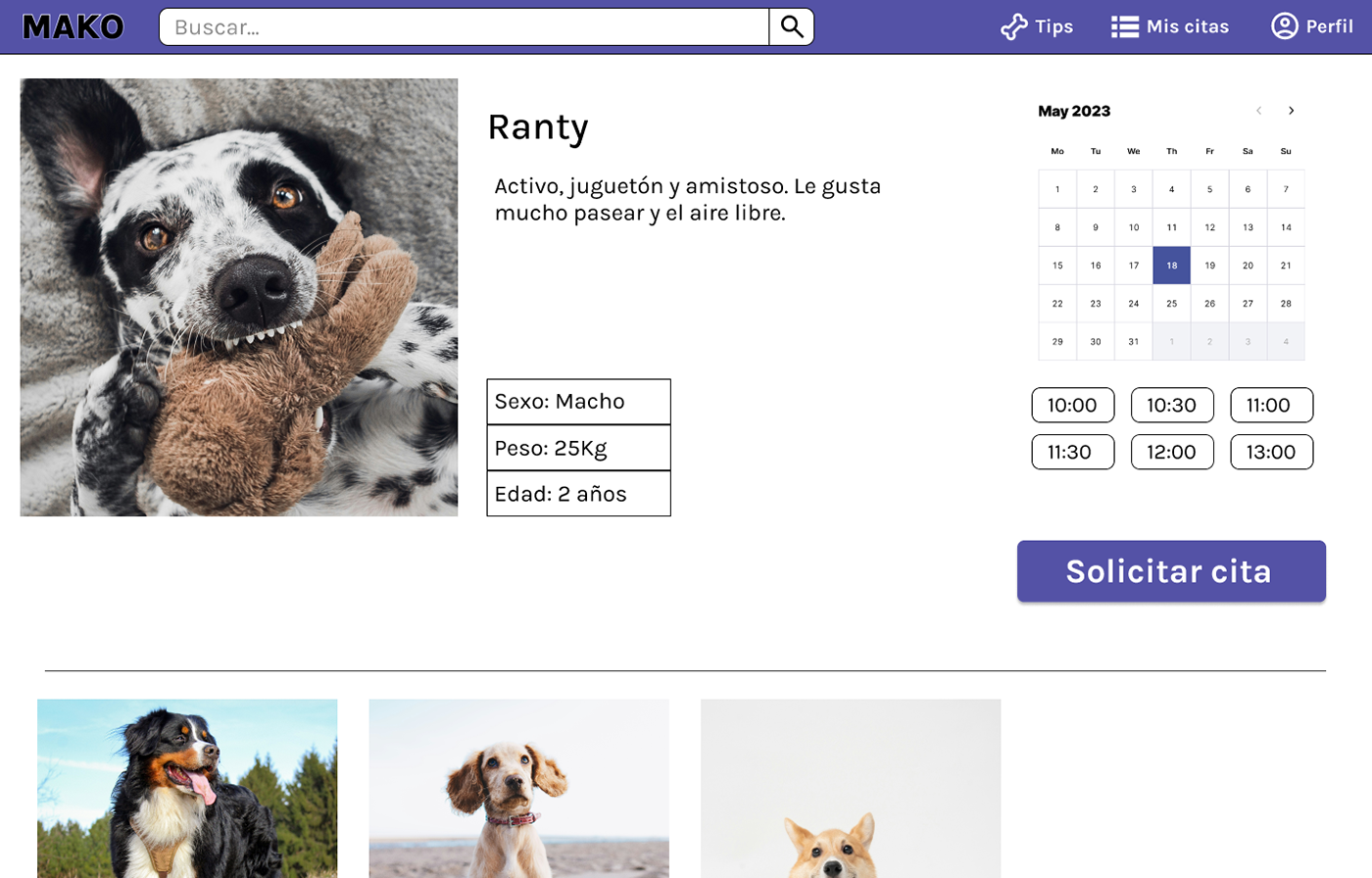 Web Design  Website app design app pets animals