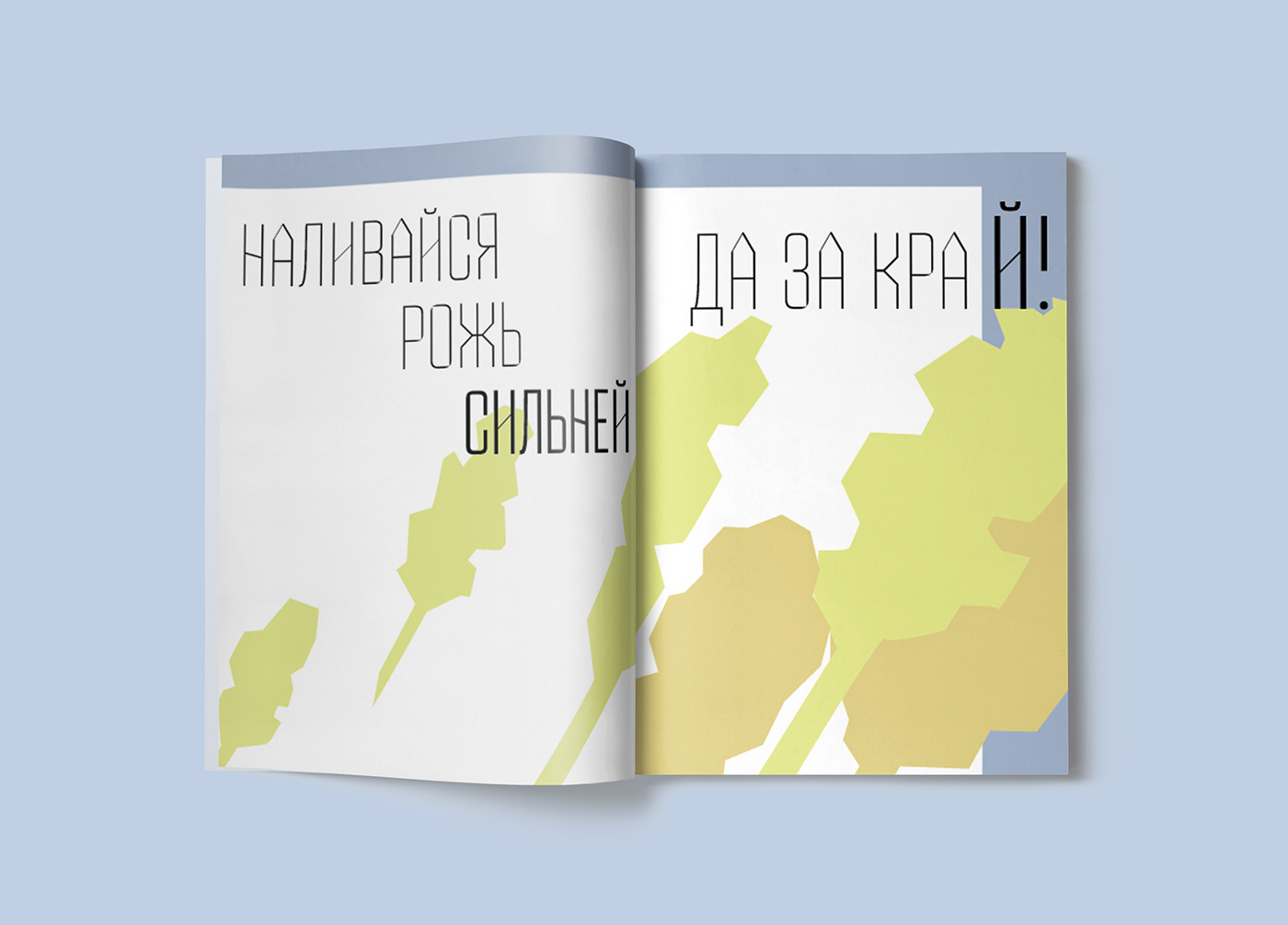 text typography   vector book editorial design  Layout