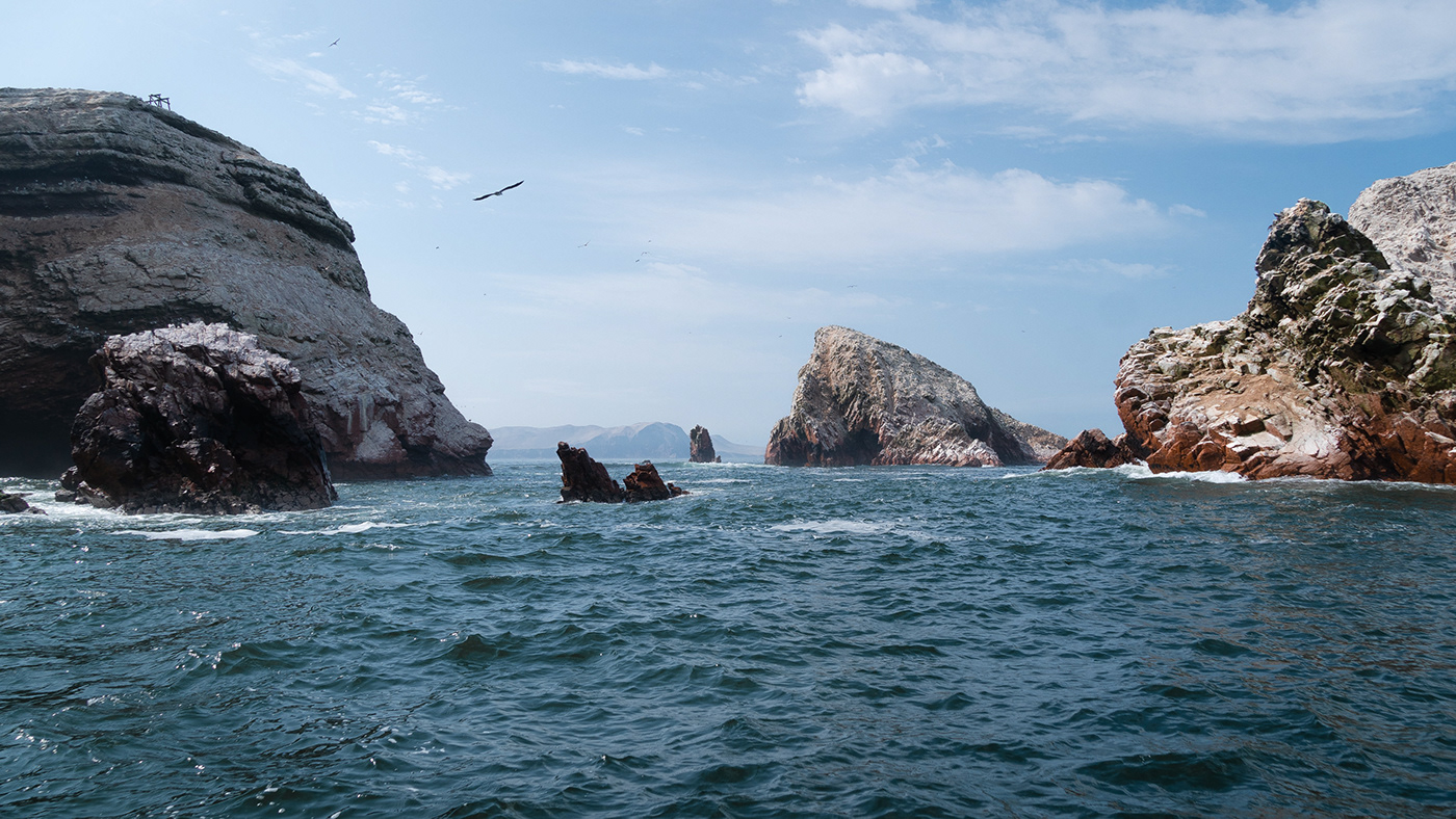 Photography  Nature Landscape peru lima paracas photo photograph sea Islasballestas