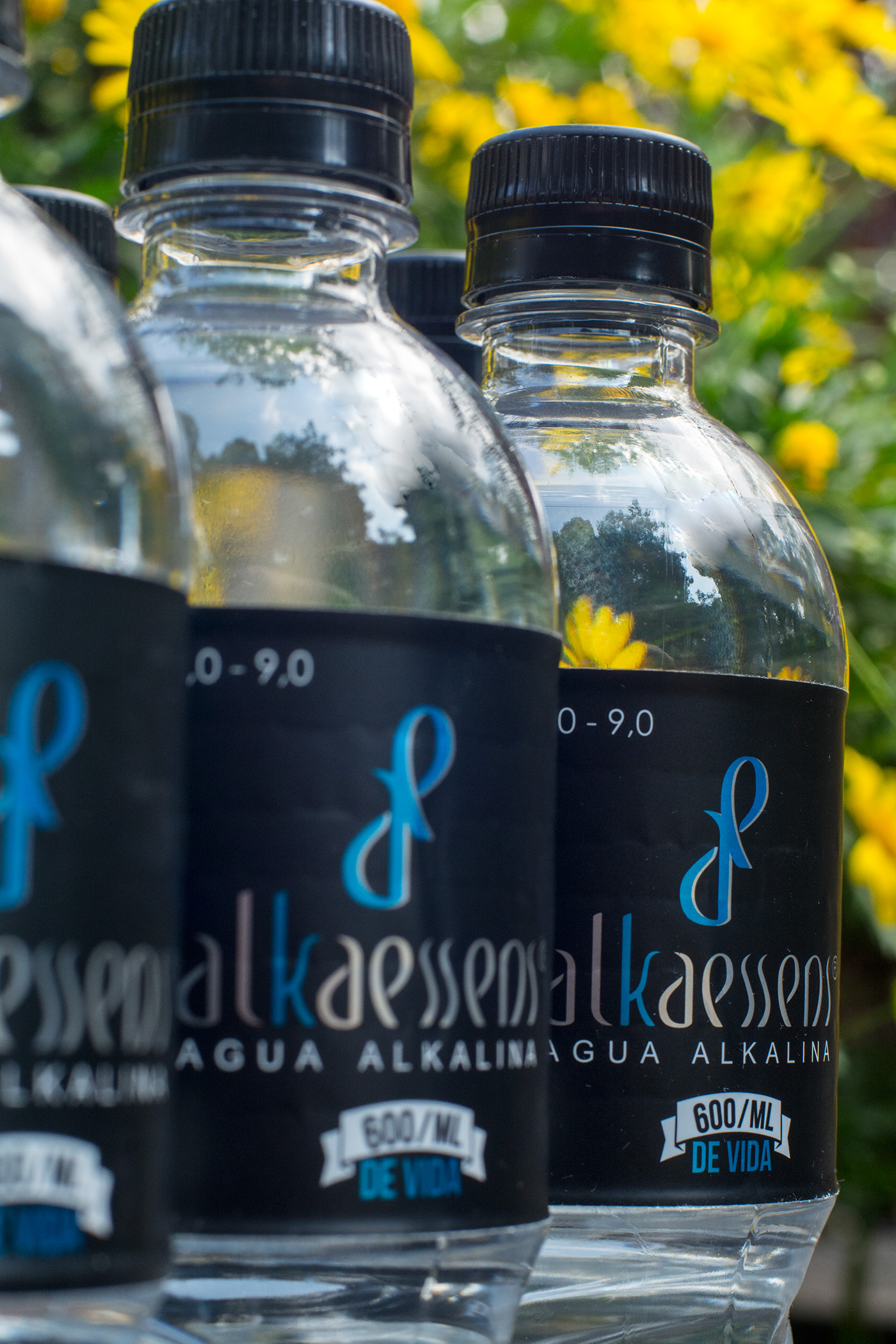 alkalina agua alkalina agua botellas saludable salud
