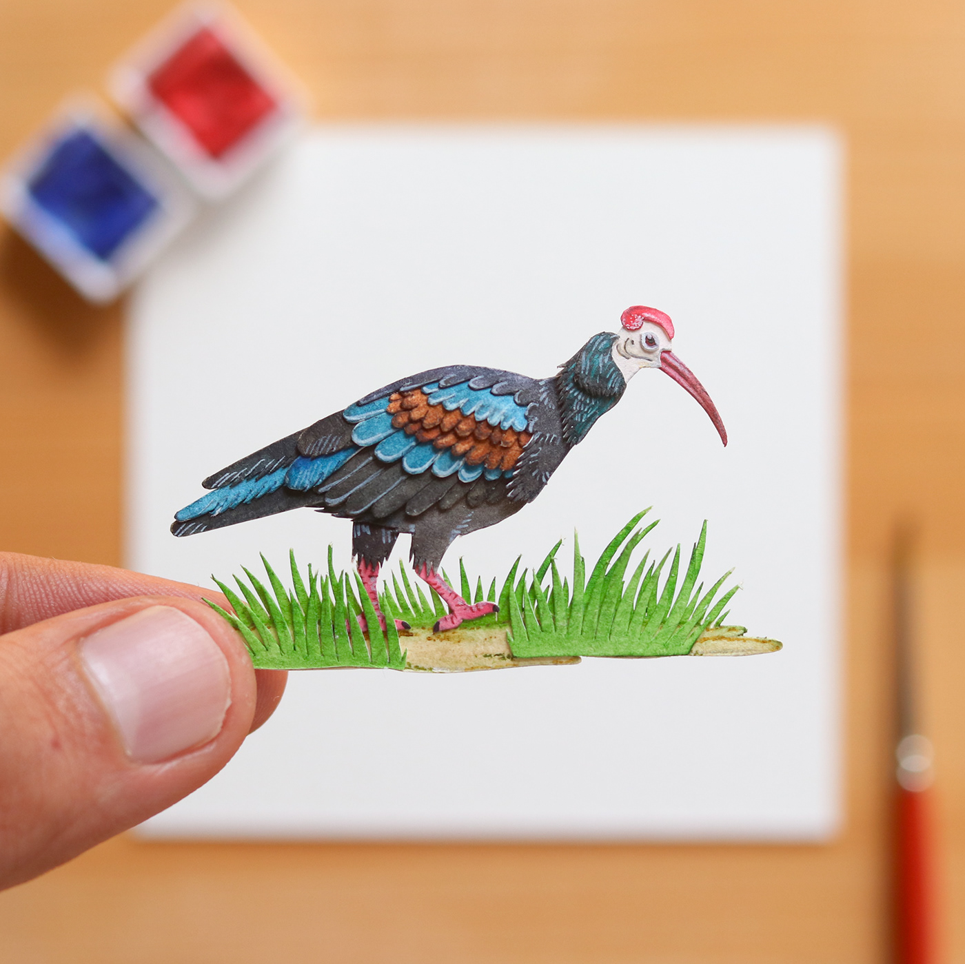 Behance birds Editorial Illustration ILLUSTRATION  Miniature papercut Photography  watercolor watercolour illustration wildlife