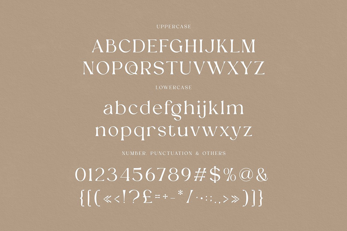 classic typeface display font elegant font fancy font Fashion font ligature font luxury font Modern Serif retro font trendy font