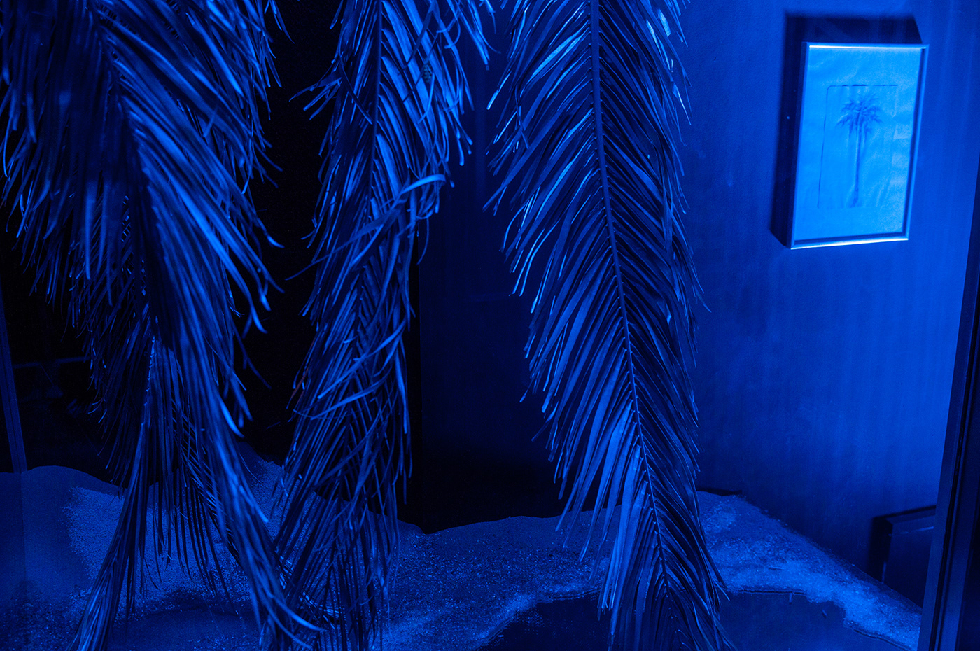 frozen Installation Art land art Landscape mirror Nature painting   palm paradise sand
