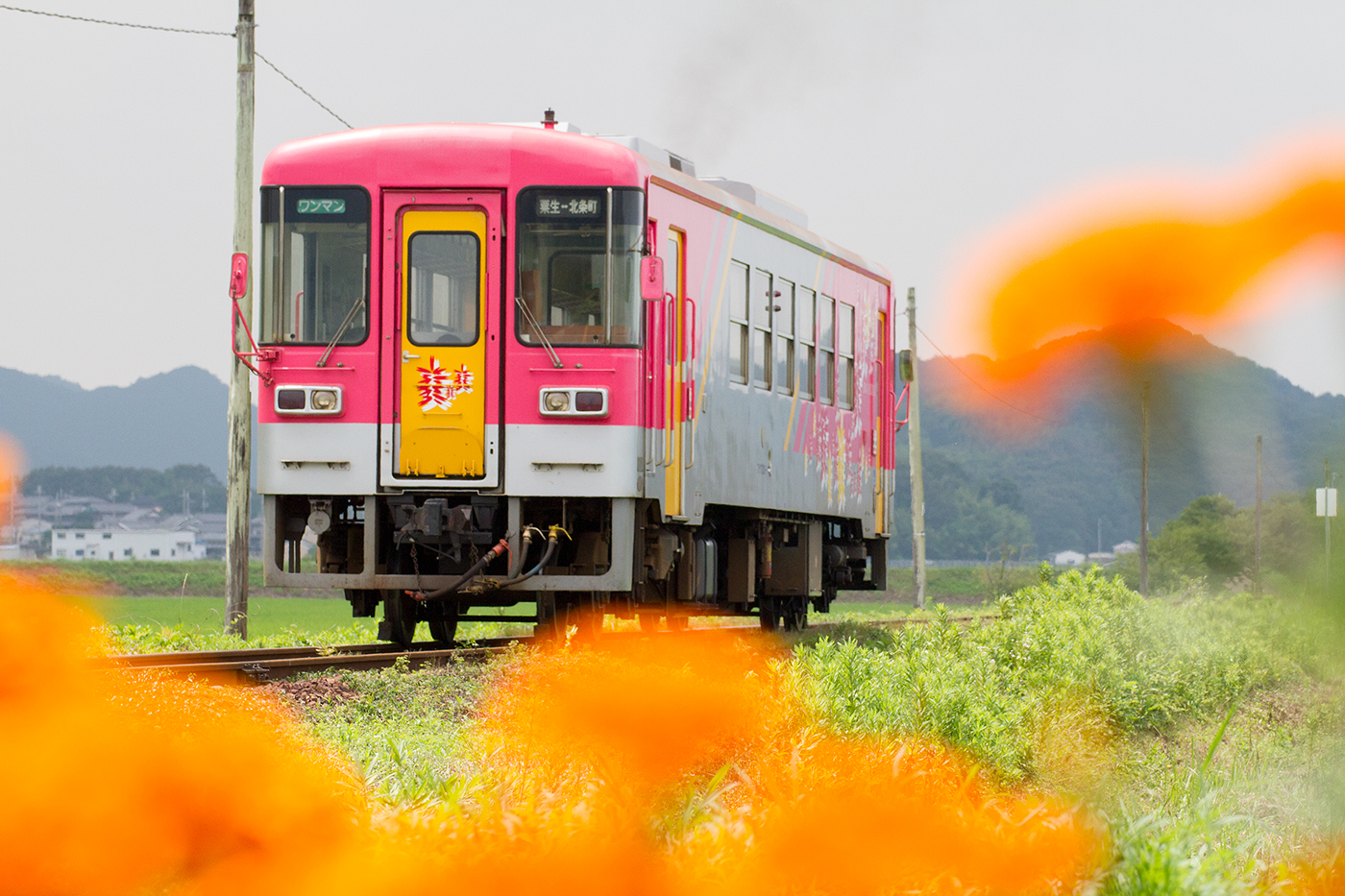 japan railway bullet train train