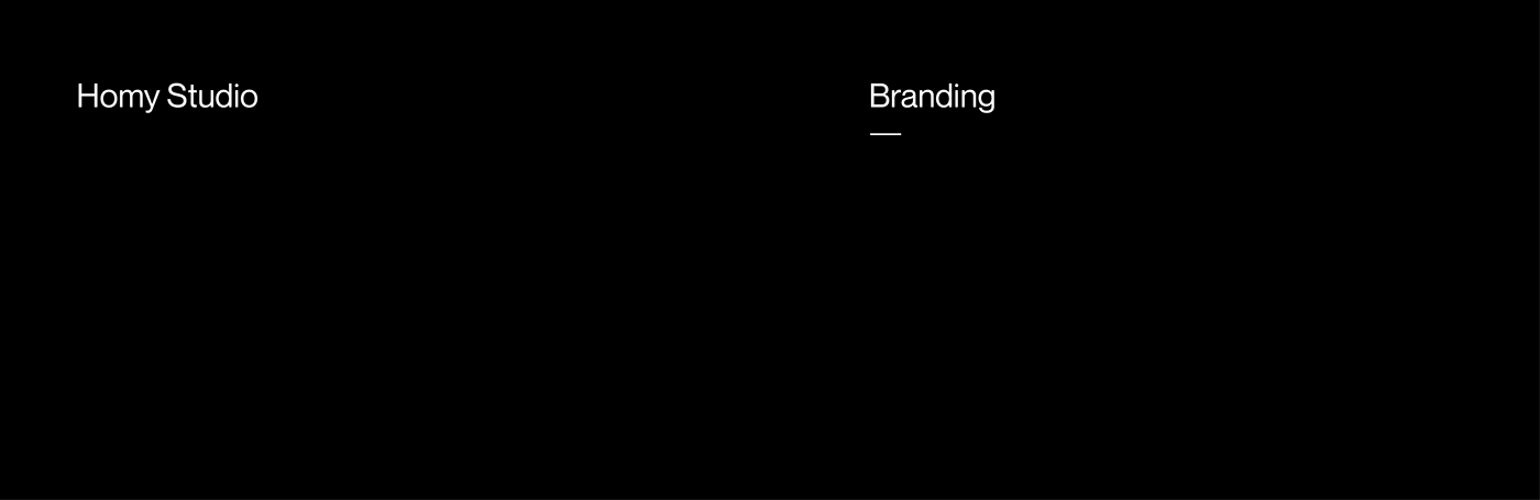 graphic design  brand identity branding  logo design visual identity Logotype