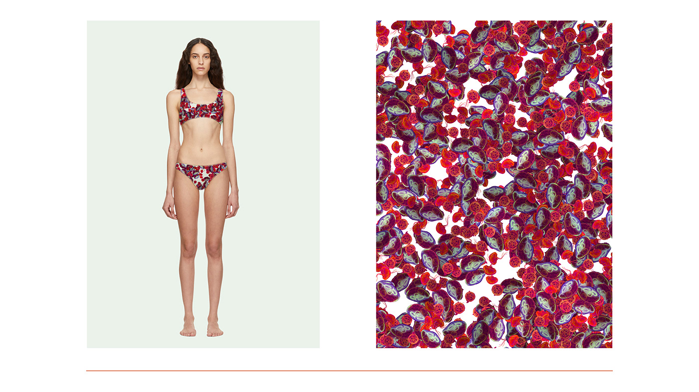 digital illustration fashion design jellyfish Medusas moda Patrones pattern design  Patterns swimwear
