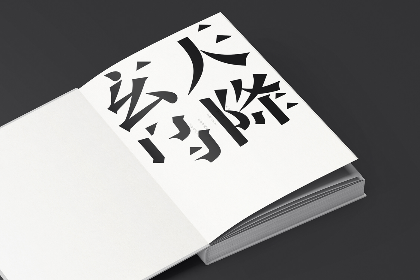 editorial design  Album design Exhibition Design  contemporary art Chinese art book design Minimalism white space typography   art book