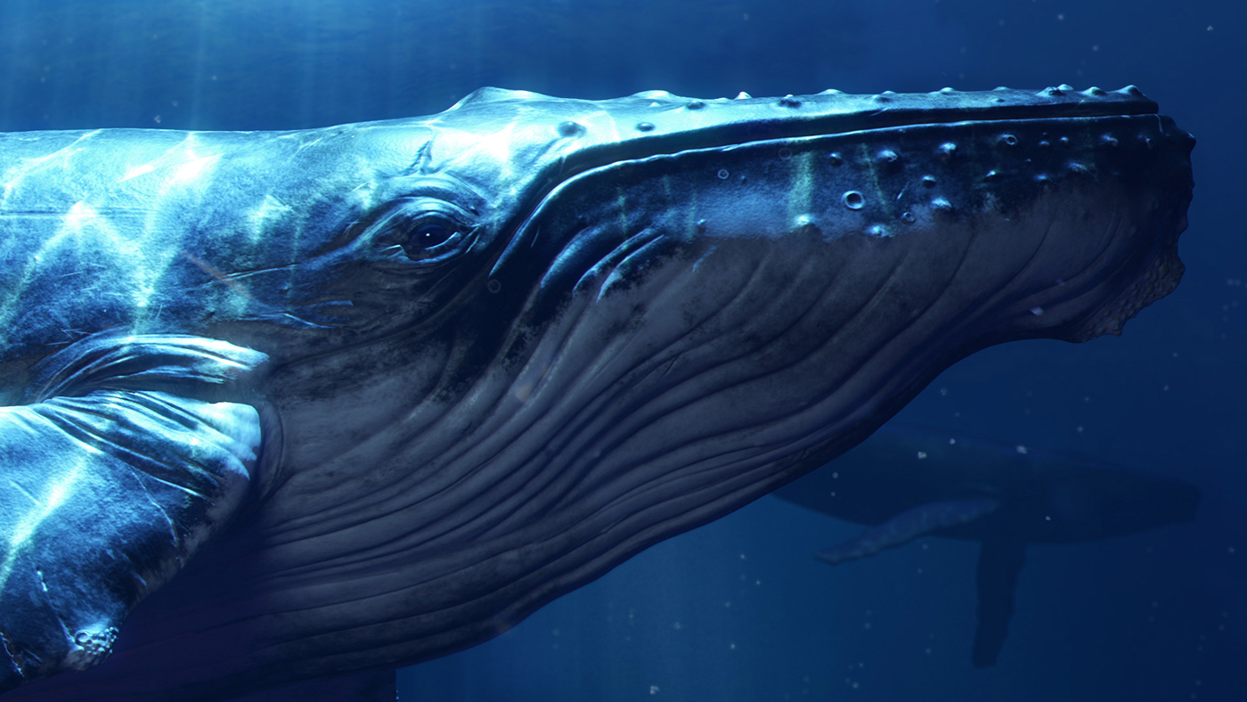 3d artwork 3D environment underwater Whale Autodeskmaya characters Substance Painter 3dart 3D design