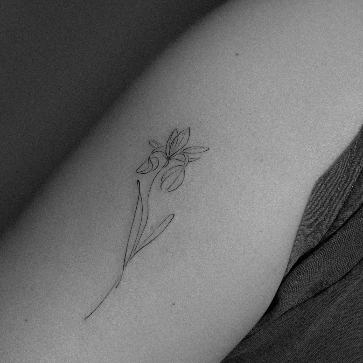 flower flower drawing ink sketch Style tattoo project