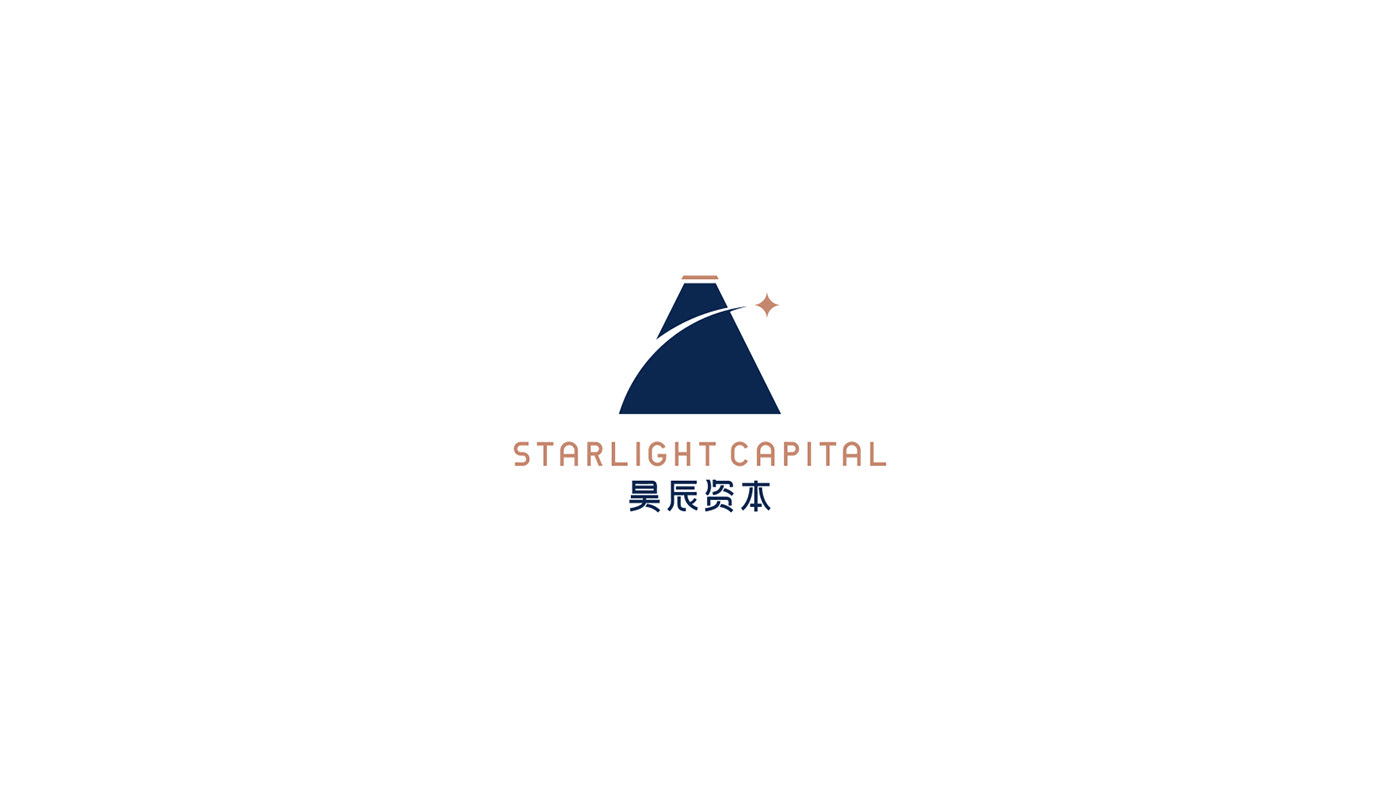 brand brand identity branding  financial logo venture capital