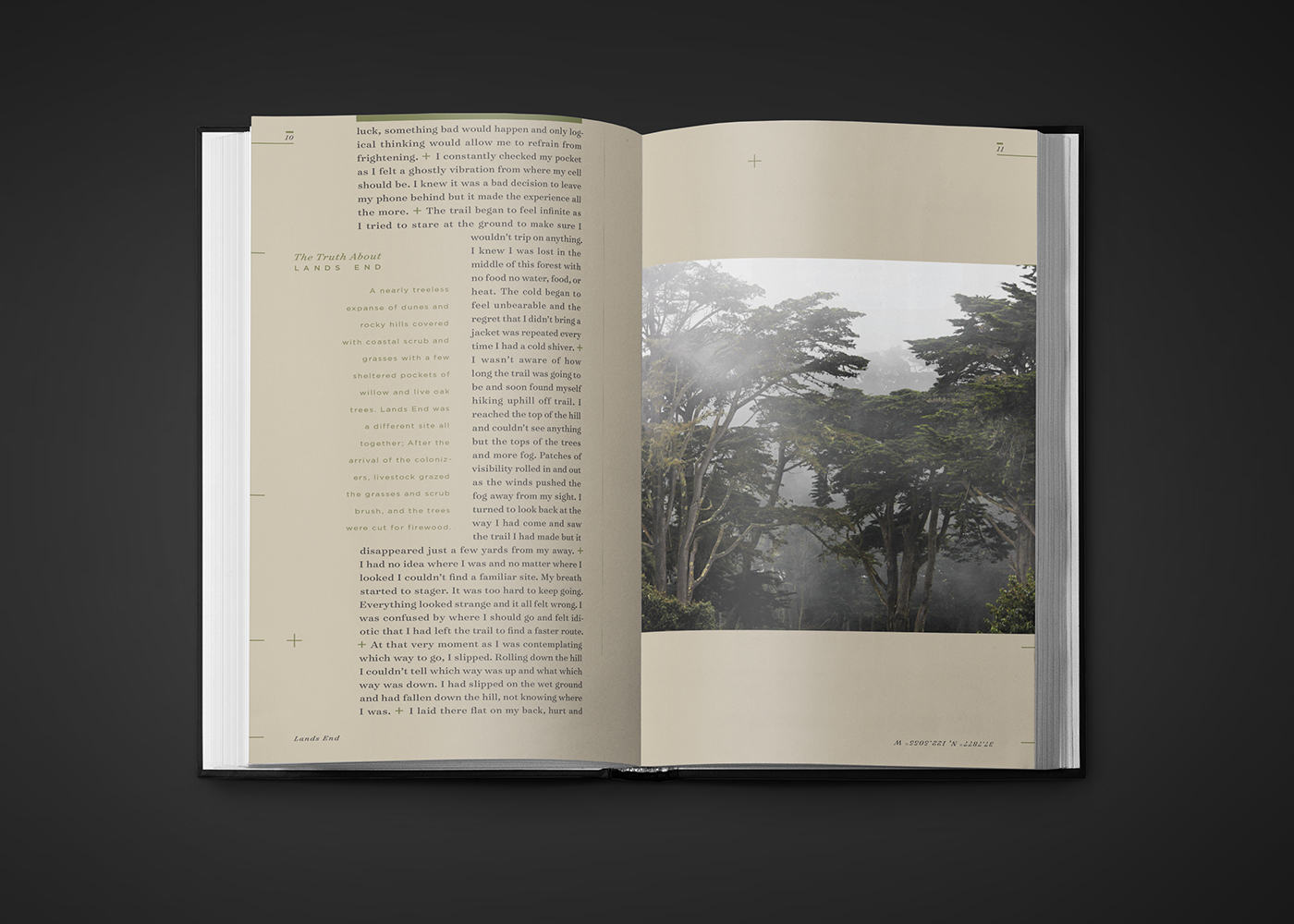 lost conceptual type experiment unity forest Lands End scared story Layout paragraph creepy interesting san francisco fog