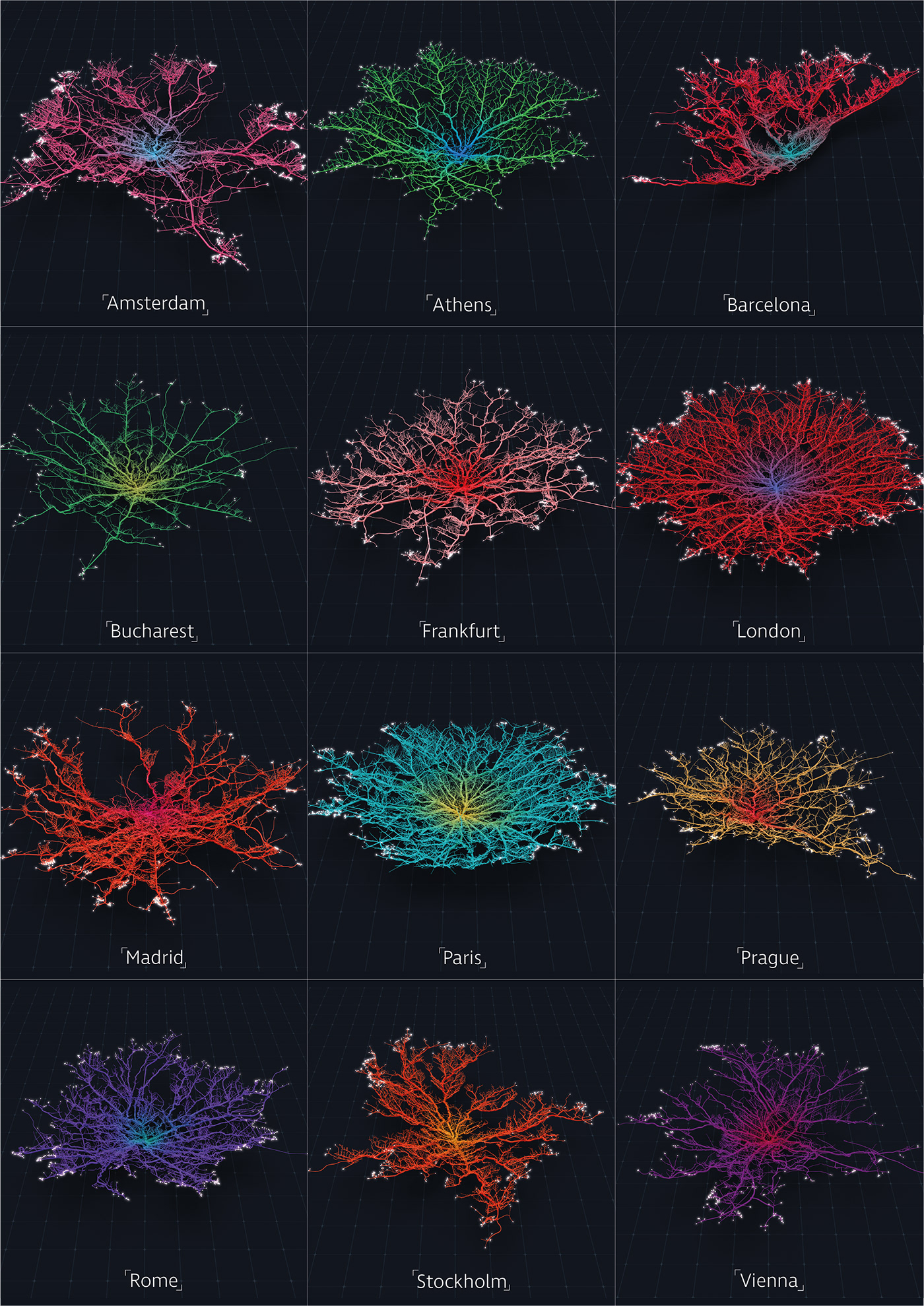 Data animation  dataviz maps Cities coral design visualisation conceptual Analysis