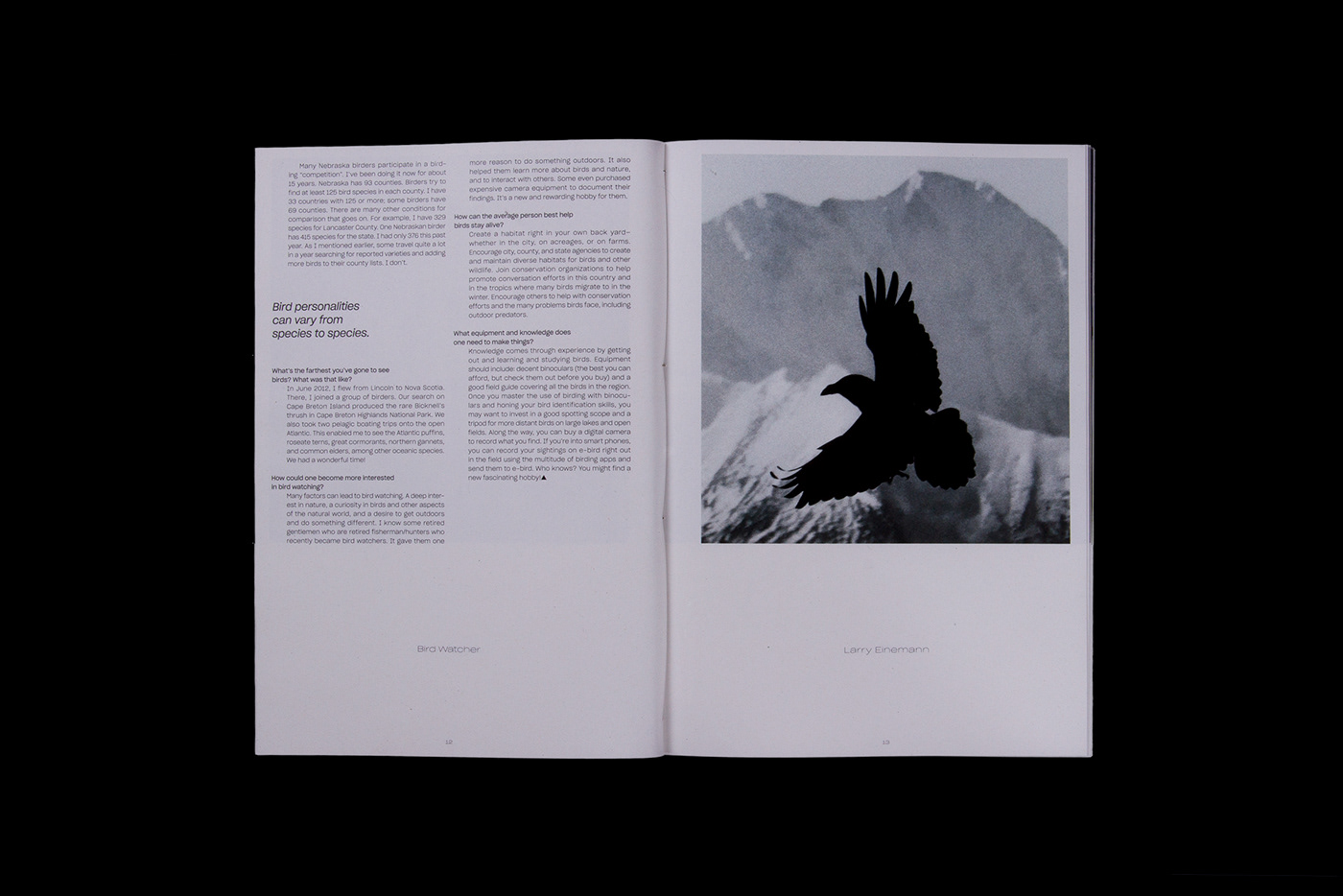 birds magazine Oregon Swainson's Hawk barcelona bird pajaro aves revista best