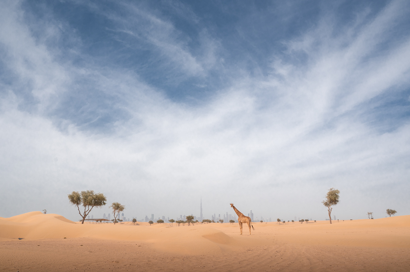 desert dubai futuristic giraffe mirage Unreal