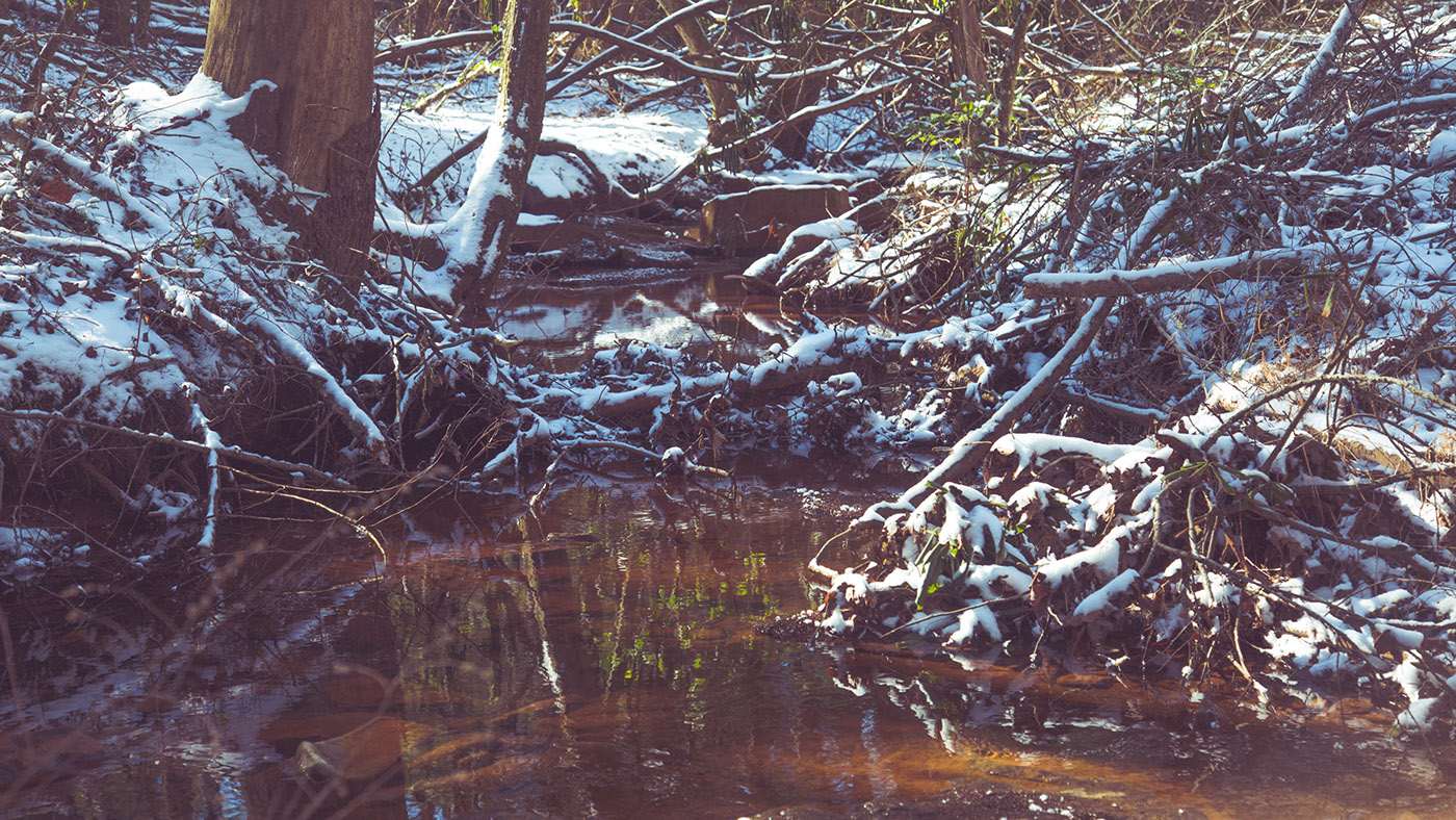 Fall Creek Falls Waterfalls hiking Nature beauty winter cold