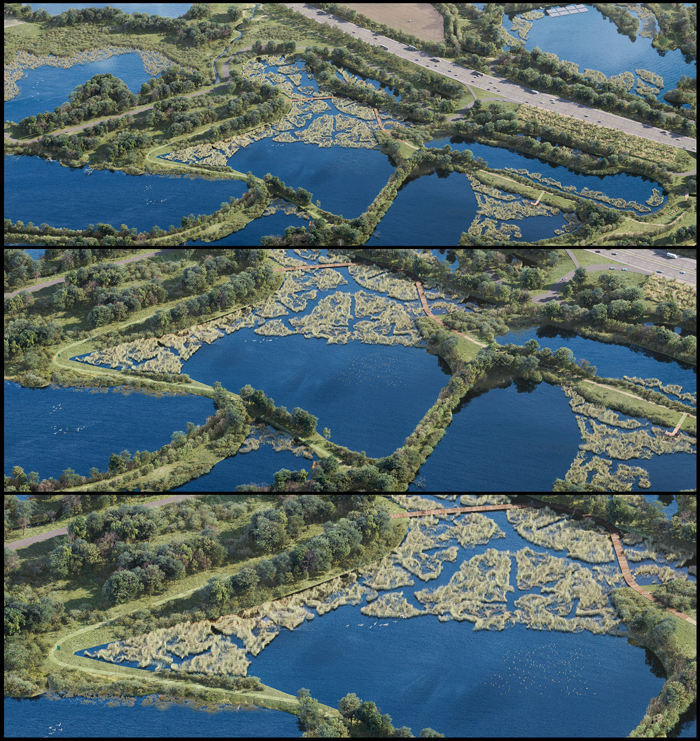 revitalization Landscape Design visualization CGI wildlife Aerial nature illustration Environment design Project Ecology