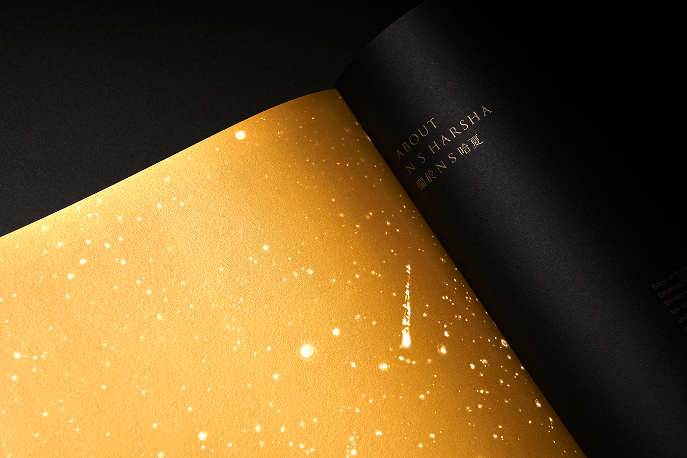 black book design folding gold hardcover Layout paper print publication 版式
