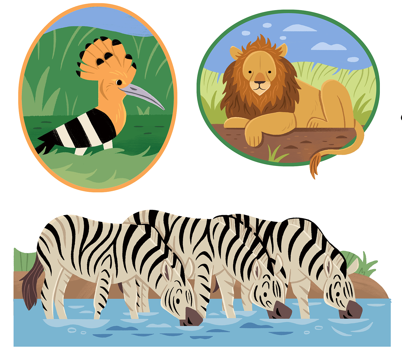 animals ILLUSTRATION  Nature wildlife kidlitart children's illustration children's book