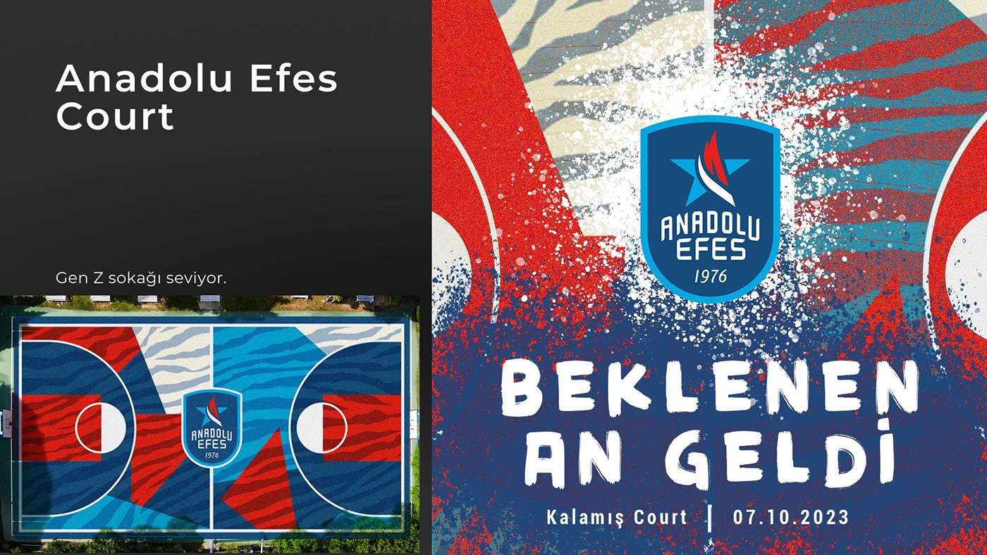 Project anadoluefes basketball ıntern others