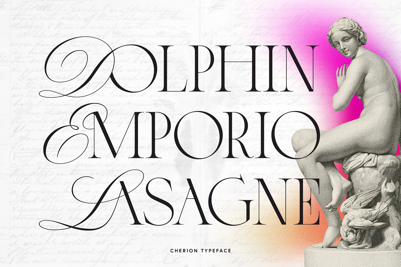branding  Calligraphy   classy feminine heading Modern Ligatures serif typeface  trendy