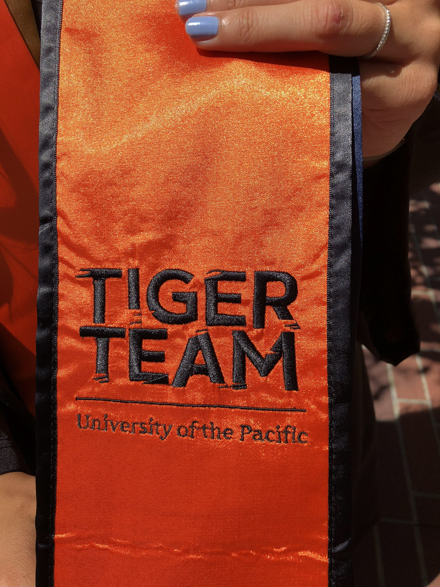 EmilioRiosDesigns logo Logo Design branding  UOP stockton University of the pacific Tiger Team