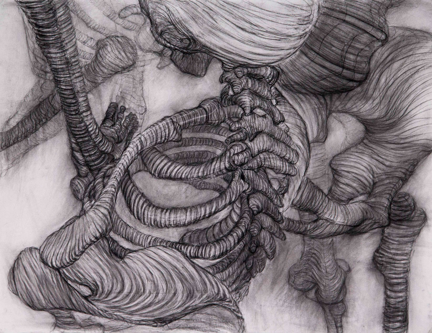 skeleton human skeleton study charcoal conte crayon Orbit Cross contour