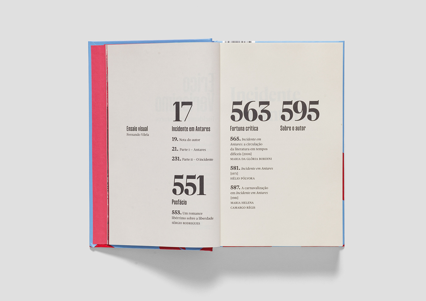 Bookdesign bookcover editorial design print InDesign editorial design  book cover