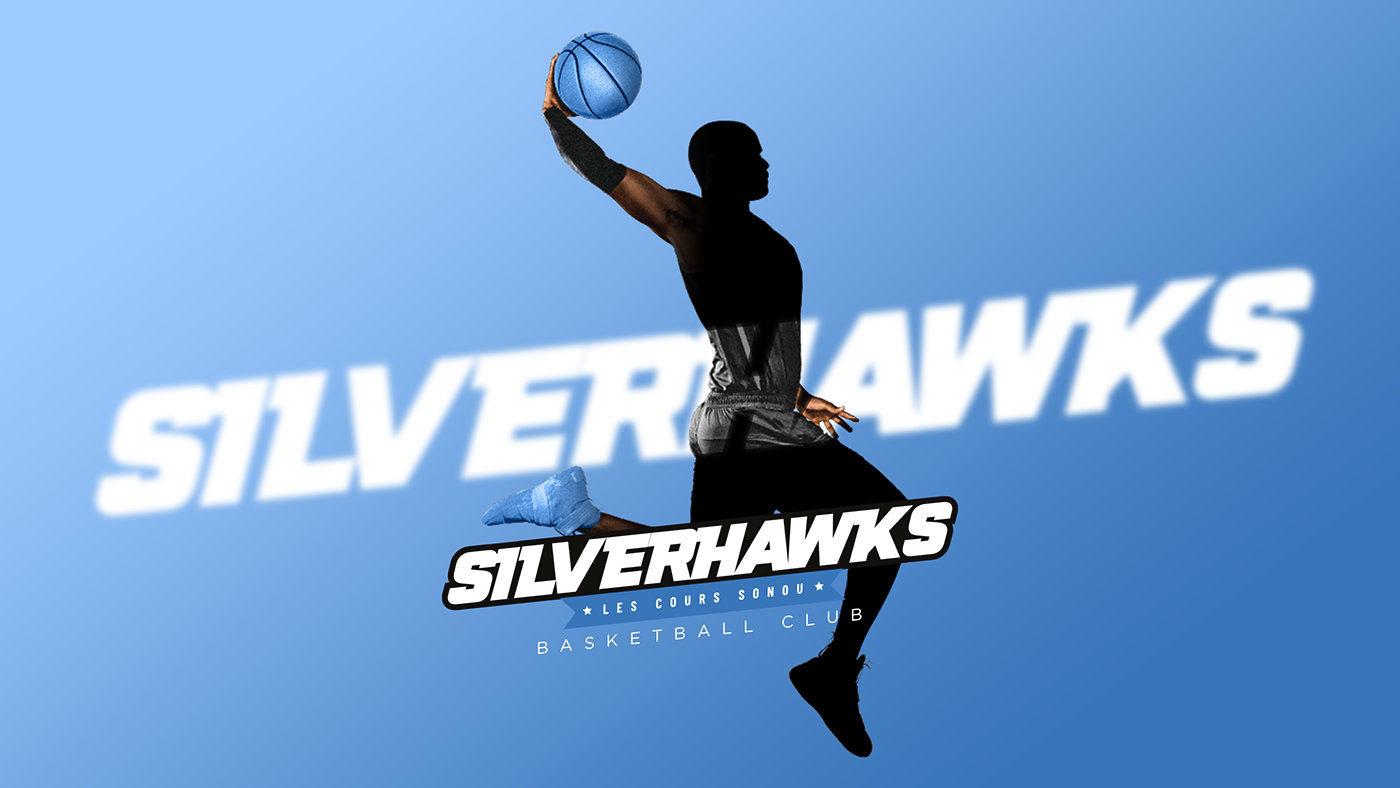 basket basket club basketball basketball club bleu blue club Hawks silverhawks