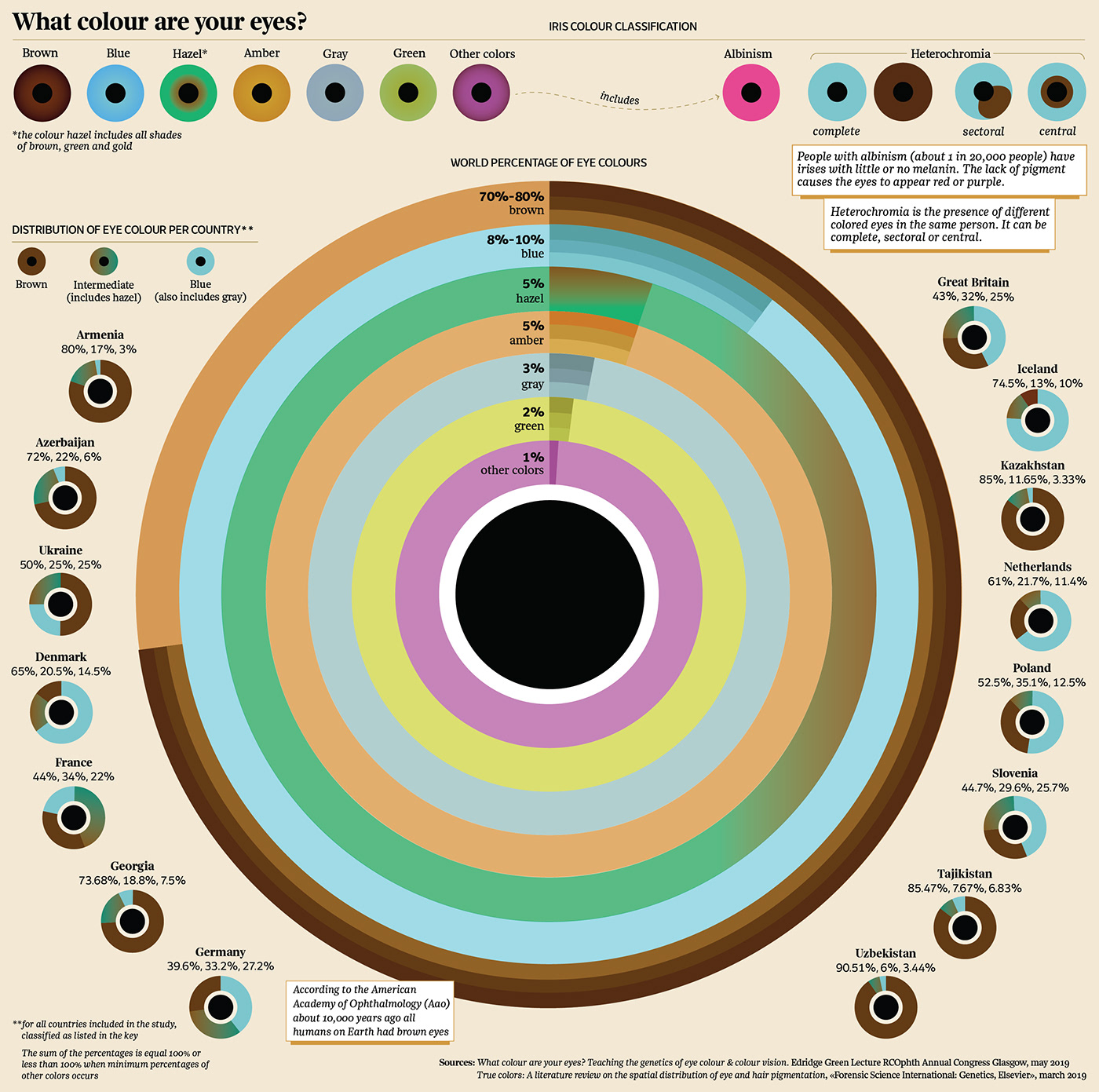 eye colour iris colours infographic dataviz information design visualdata