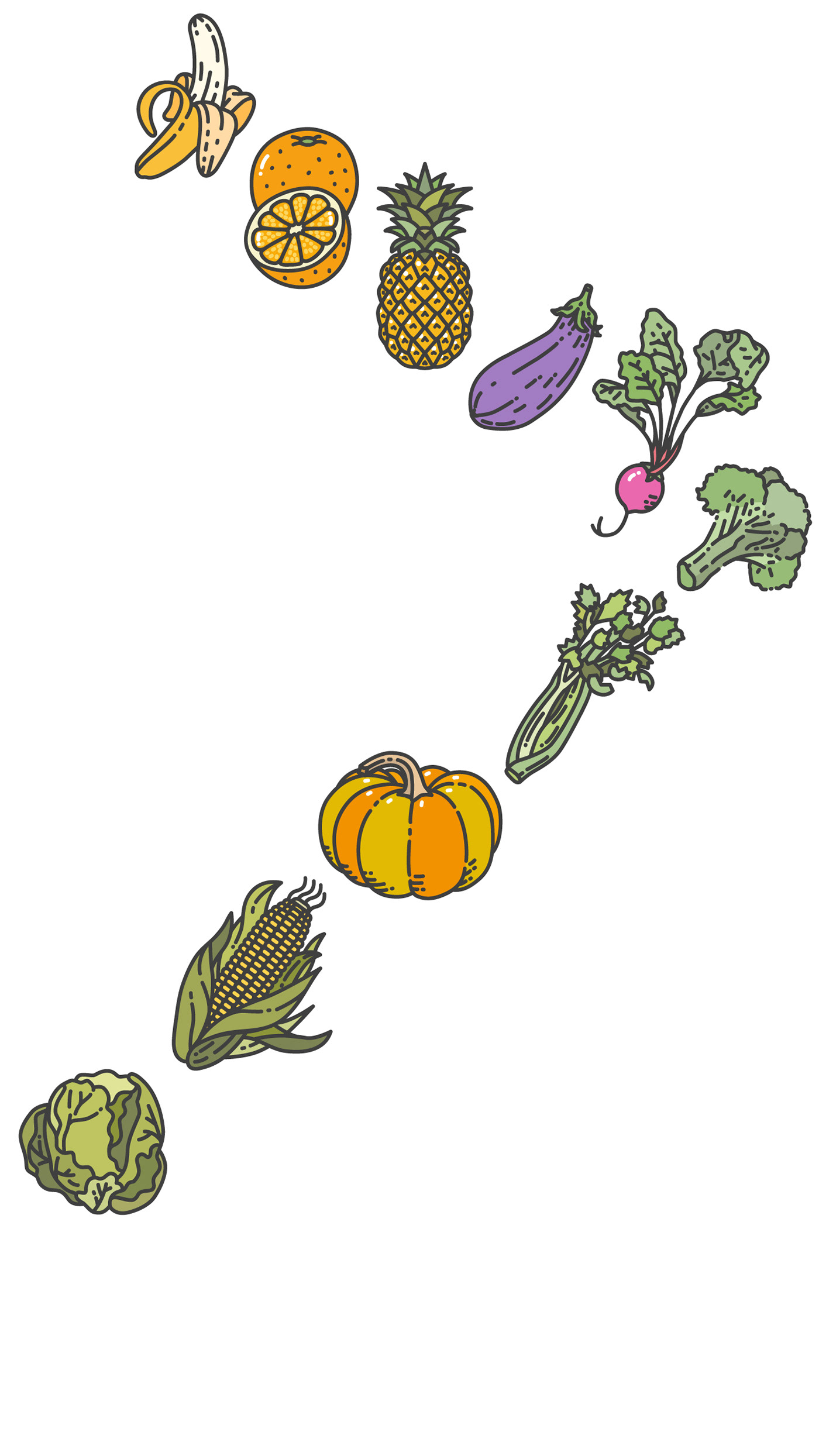 vector Food  ILLUSTRATION  Illustrator cartoon Style line