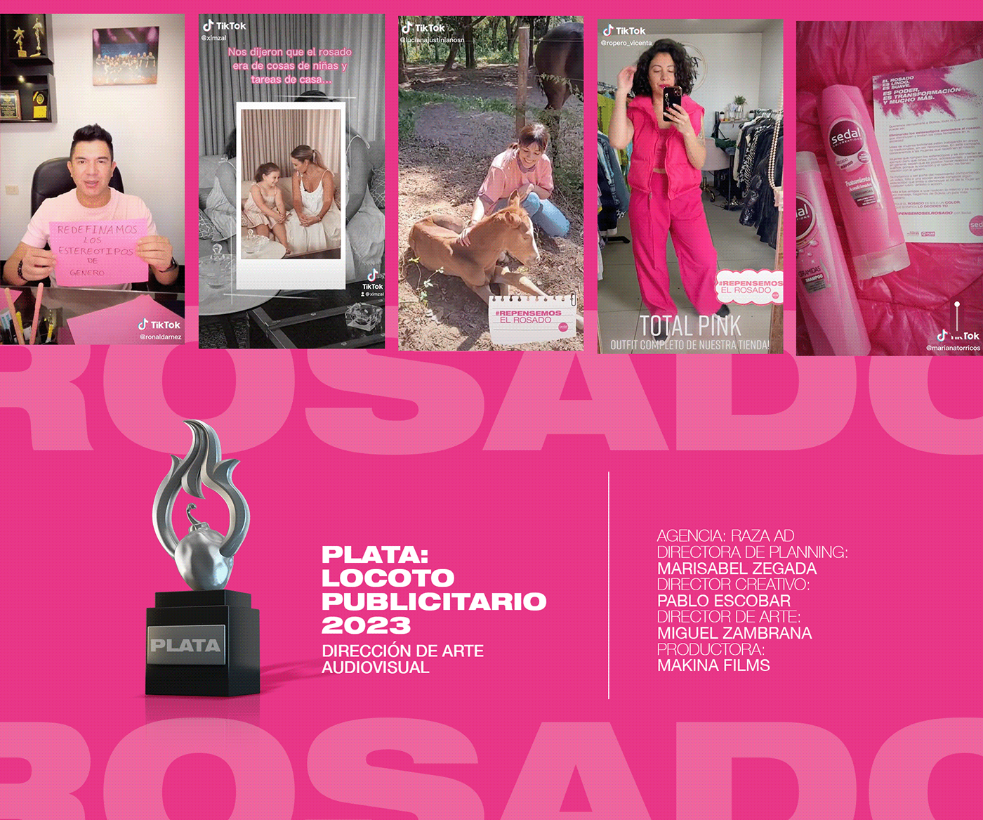 esterotipos art direction  Advertising  bolivia Creative Direction  sedal campaign campaña publicitaria publicidad rosado