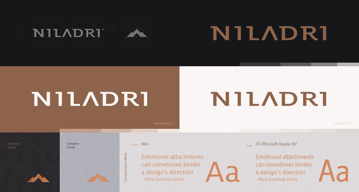 Niladri business card graphics design brand logo