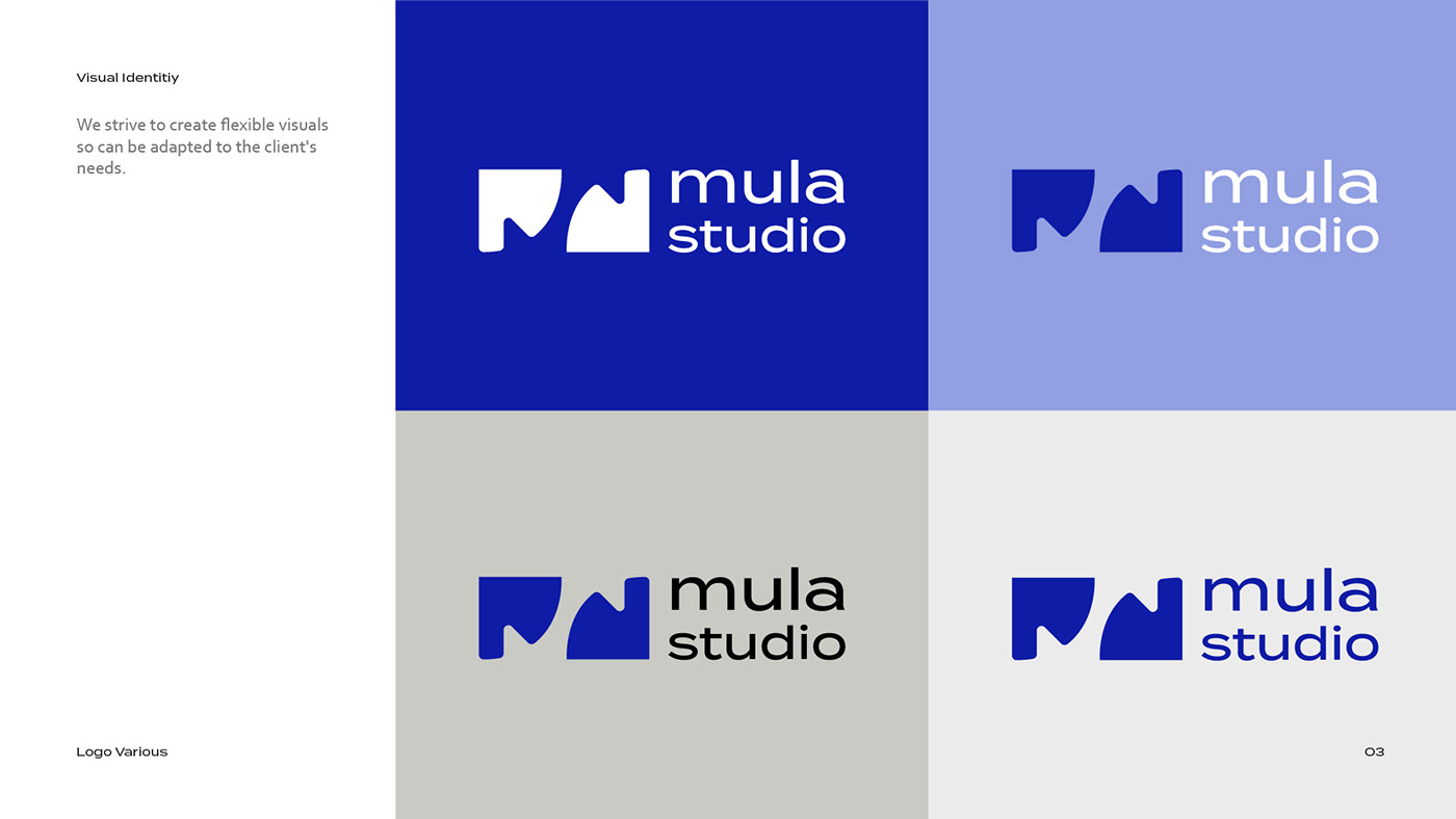 Brand Design branding  design designer designstudio logo Logo Design Logotype typography   visualidentity