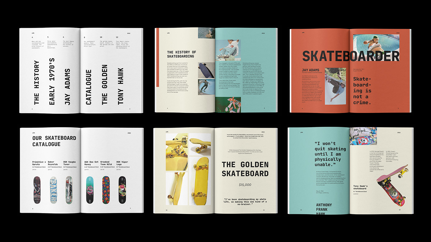 catalog catalog design Catalogue Catalogue design indesign magazine Layout Layout Design magazine Magazine Cover skateboard