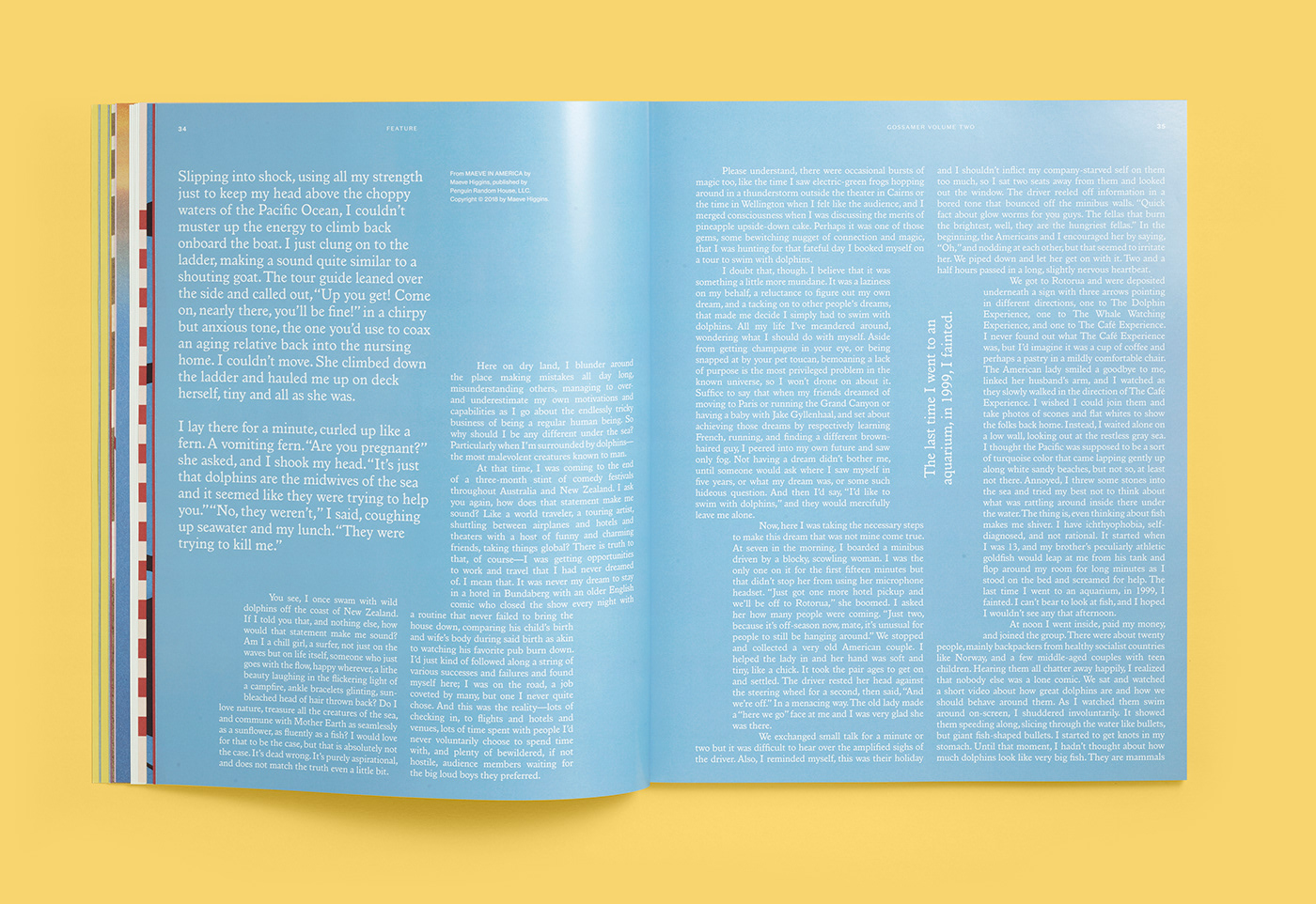 editorial Layout magazine publication typography  