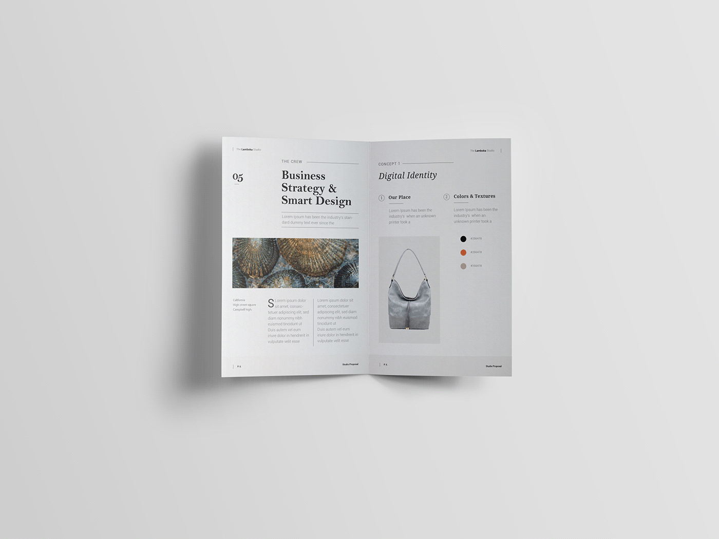 designer Printing concepts brochures Bi-fold z-fold tri-fold corporate