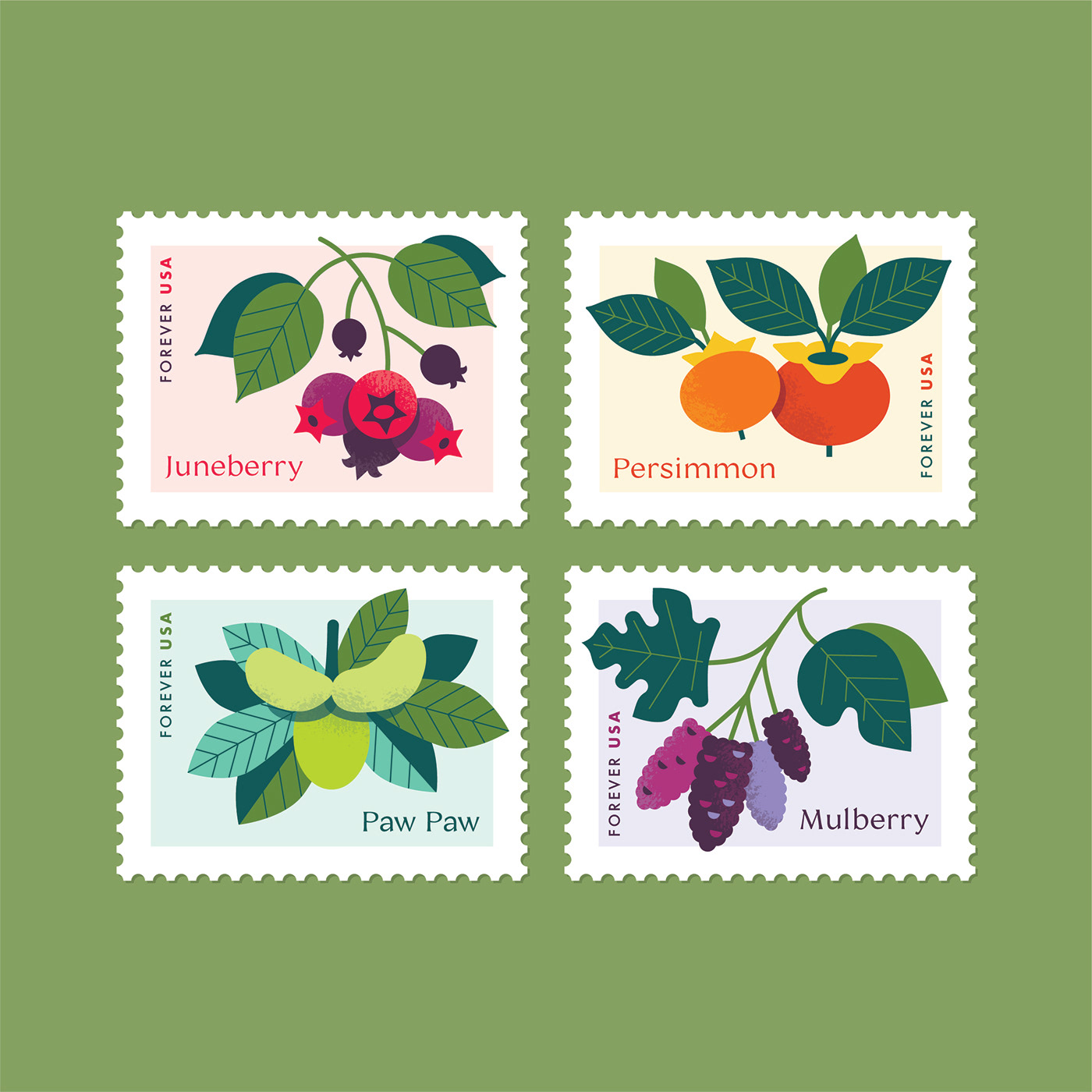 DigitalIllustration Fruit trees juneberry mulberry native trees pawpaws persimmons postage stamp Postage Stamp Design stamp