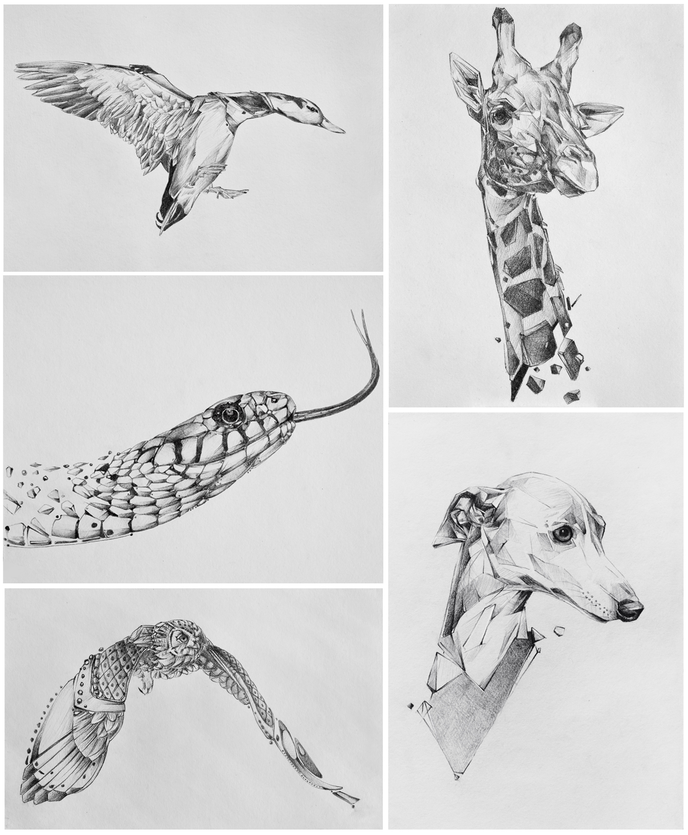 pencil paper animals design snake dog owl duck portrait abstract ideas characters