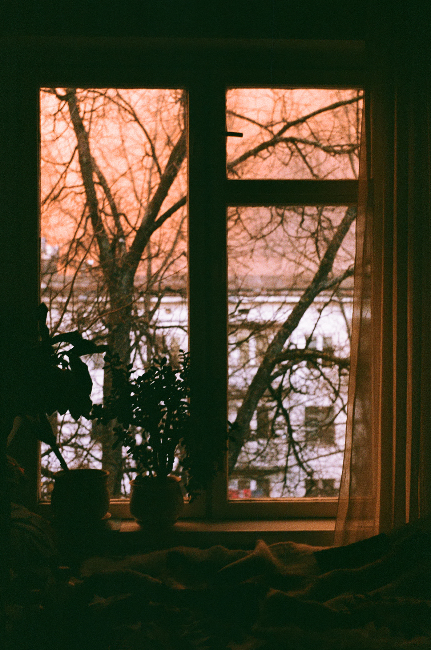 Жизнью в окнах живут дома. Окно жизни. Жизнь за окном. Окна Life. Фото жизнь из окна.