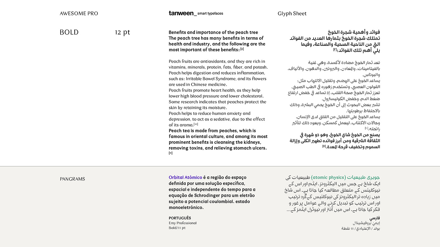arabic type font Typeface UAE National Day dubai Abu Dhabi emirates خط عربي