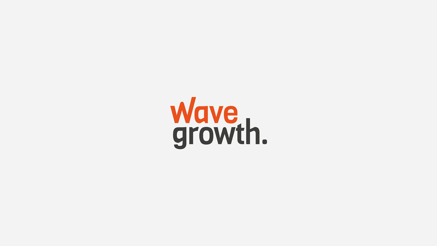 branding  Web corporate Engineering  software wavegrowth development american