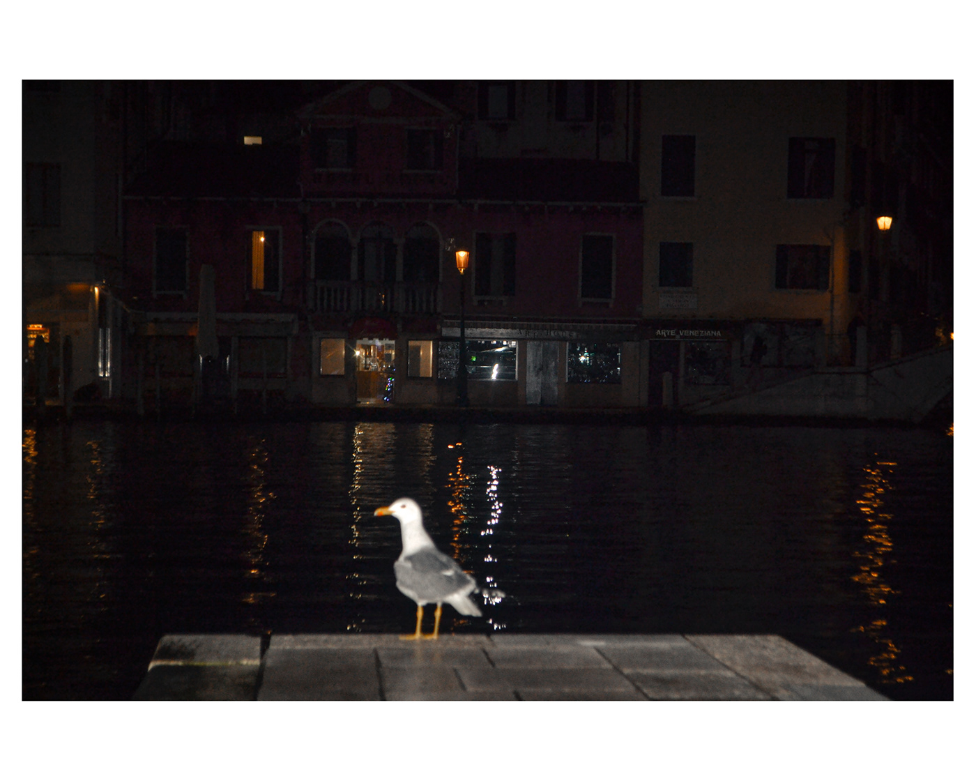 venezia Venice Italy Photography  city culture veneto