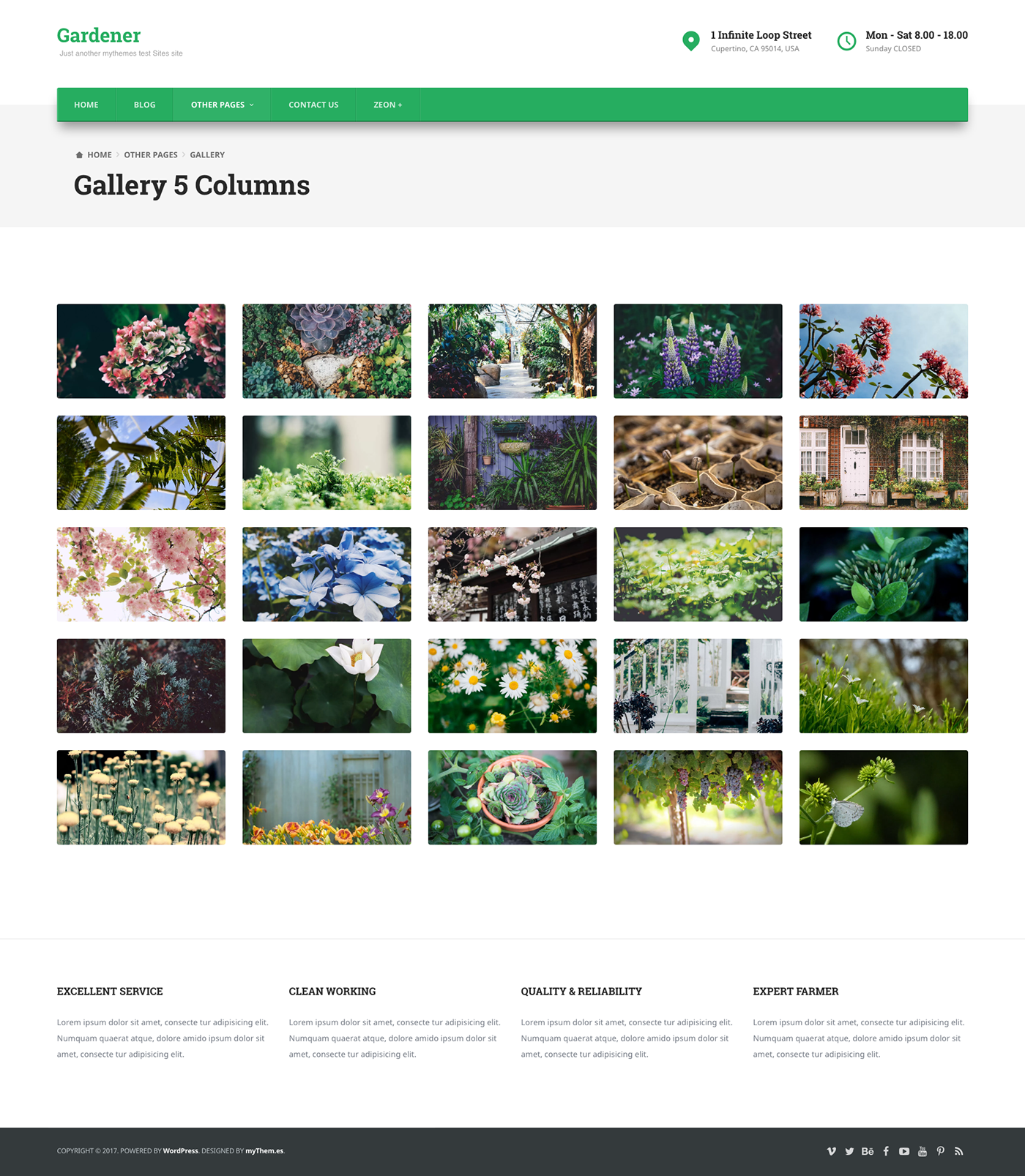 Small Business tempo child theme gardener wordpress template