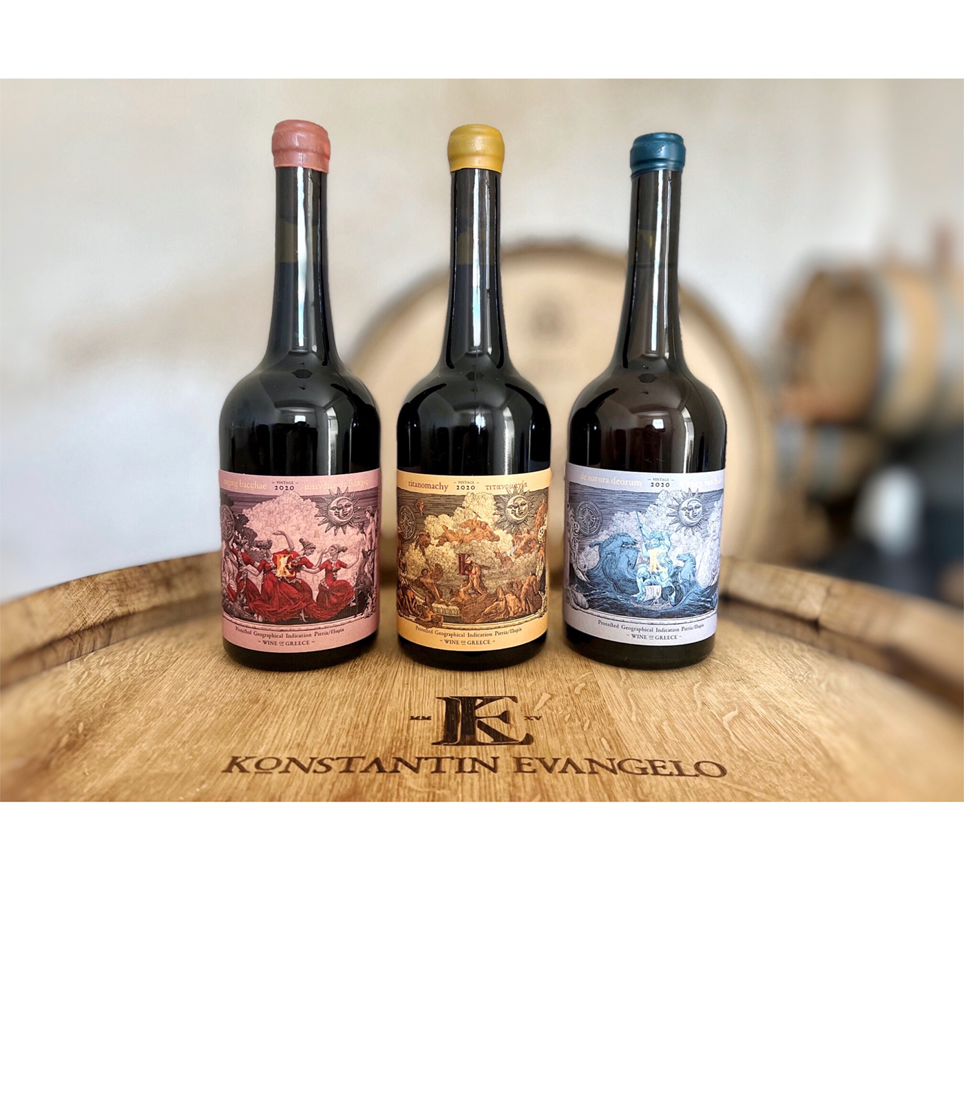 brand identity graphic design  ILLUSTRATION  label design wine wine label winery