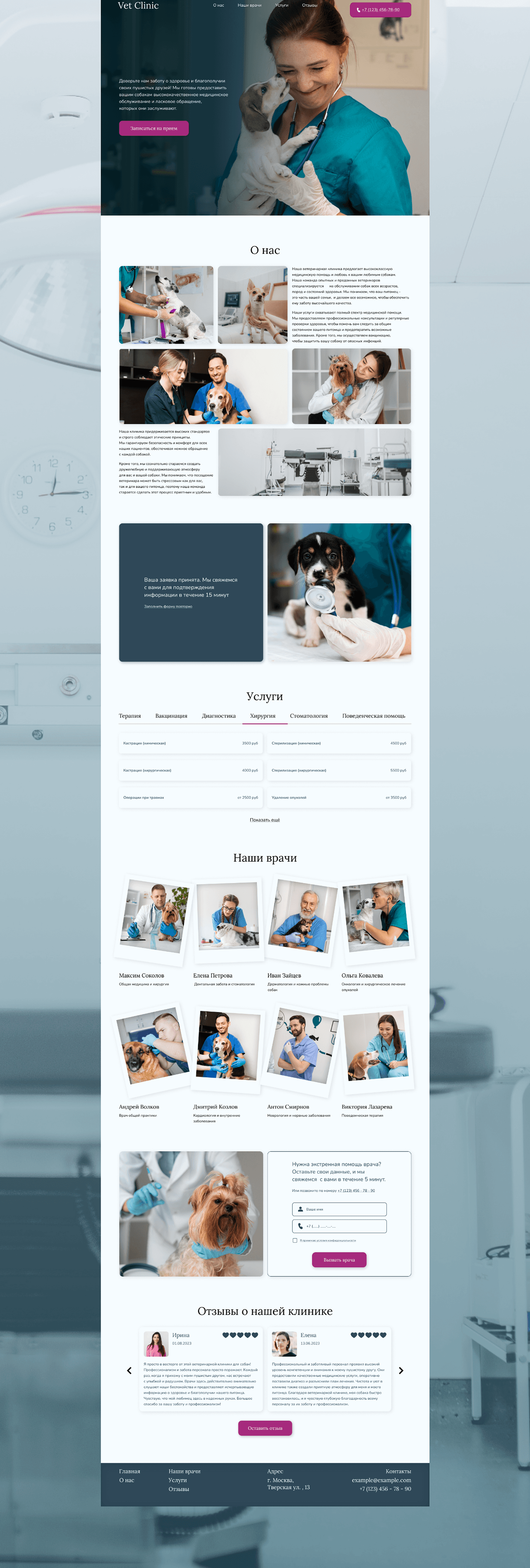 Web Design  Website Figma landing page Website Design user interface ui design Mobile app design veterinary